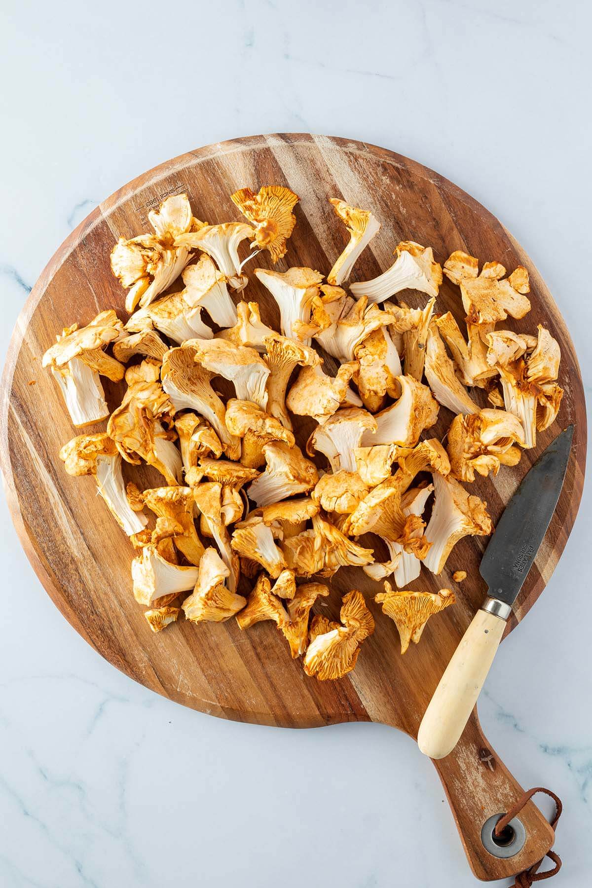 Chanterelle Pasta