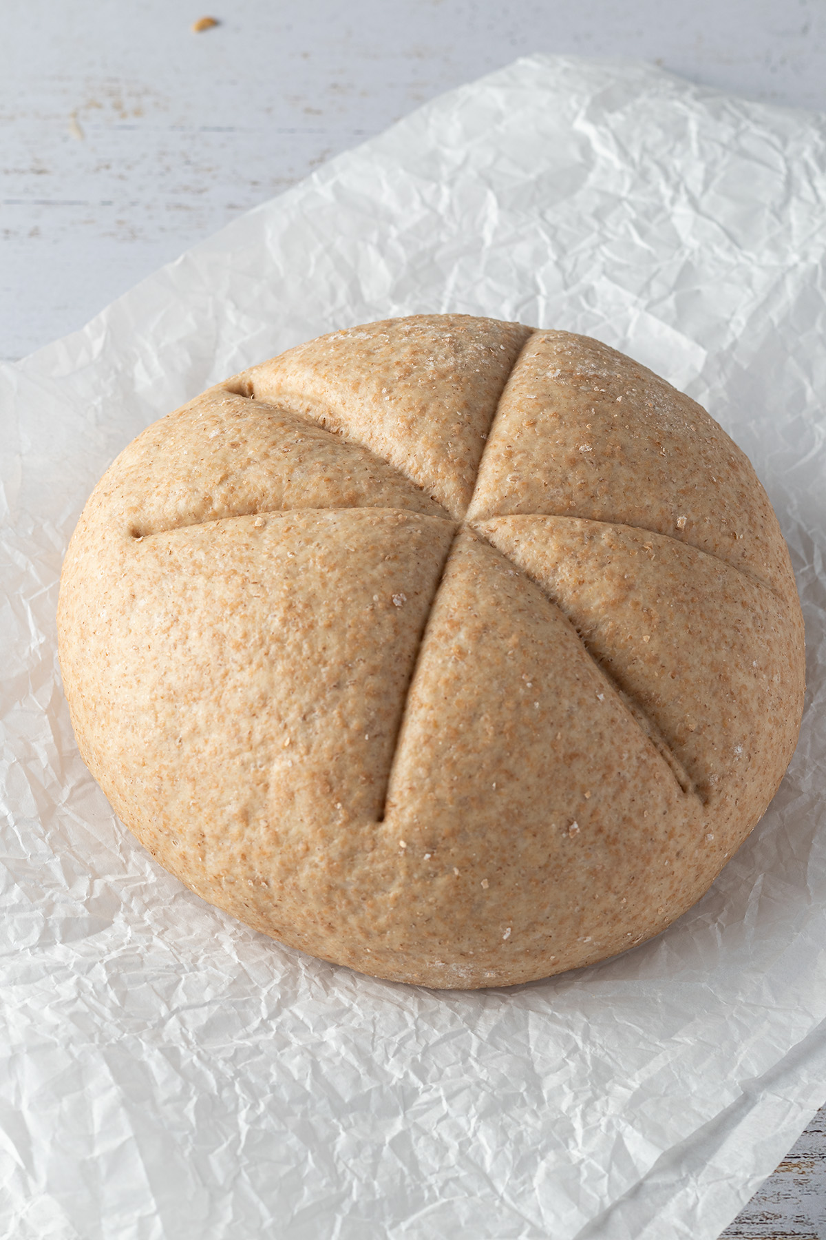 Whole Wheat Burger Buns