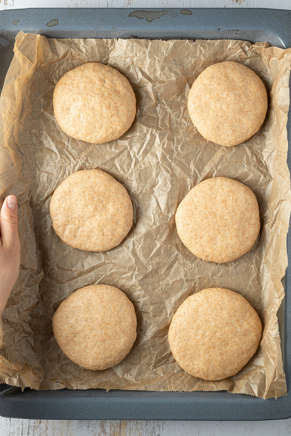 Whole Wheat Burger Buns