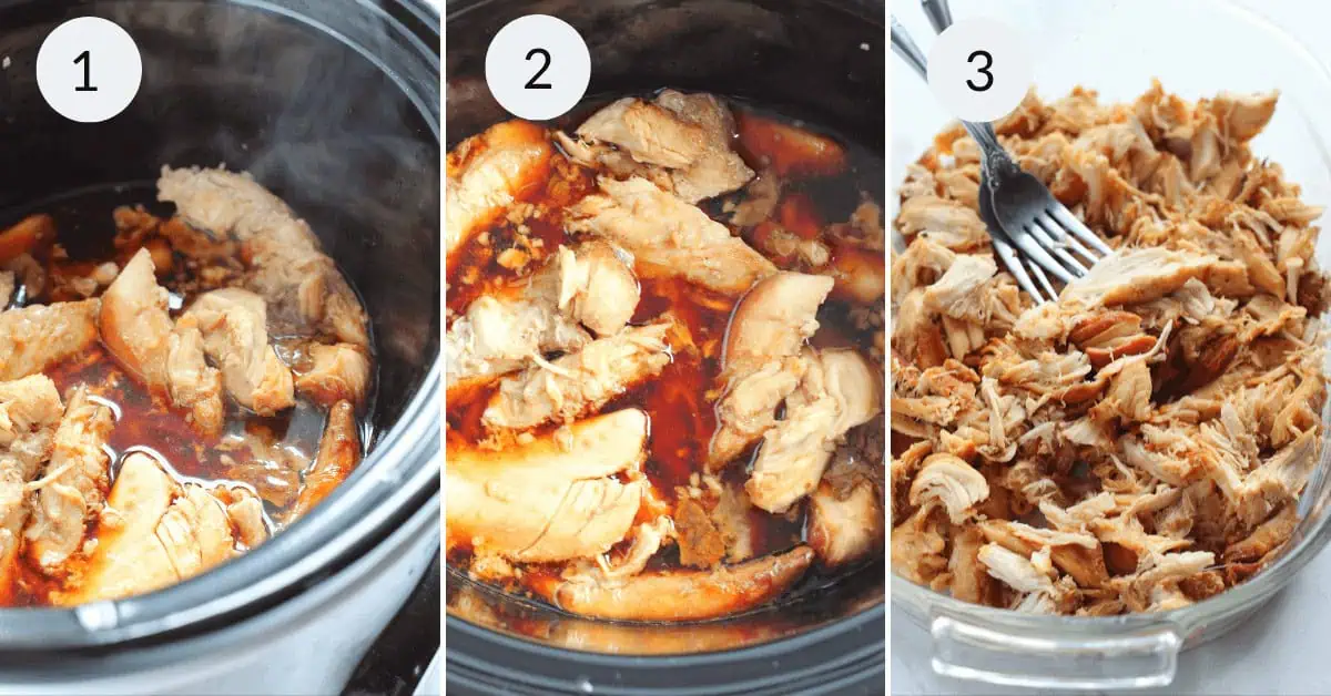 Crock Pot Teriyaki Chicken Thighs