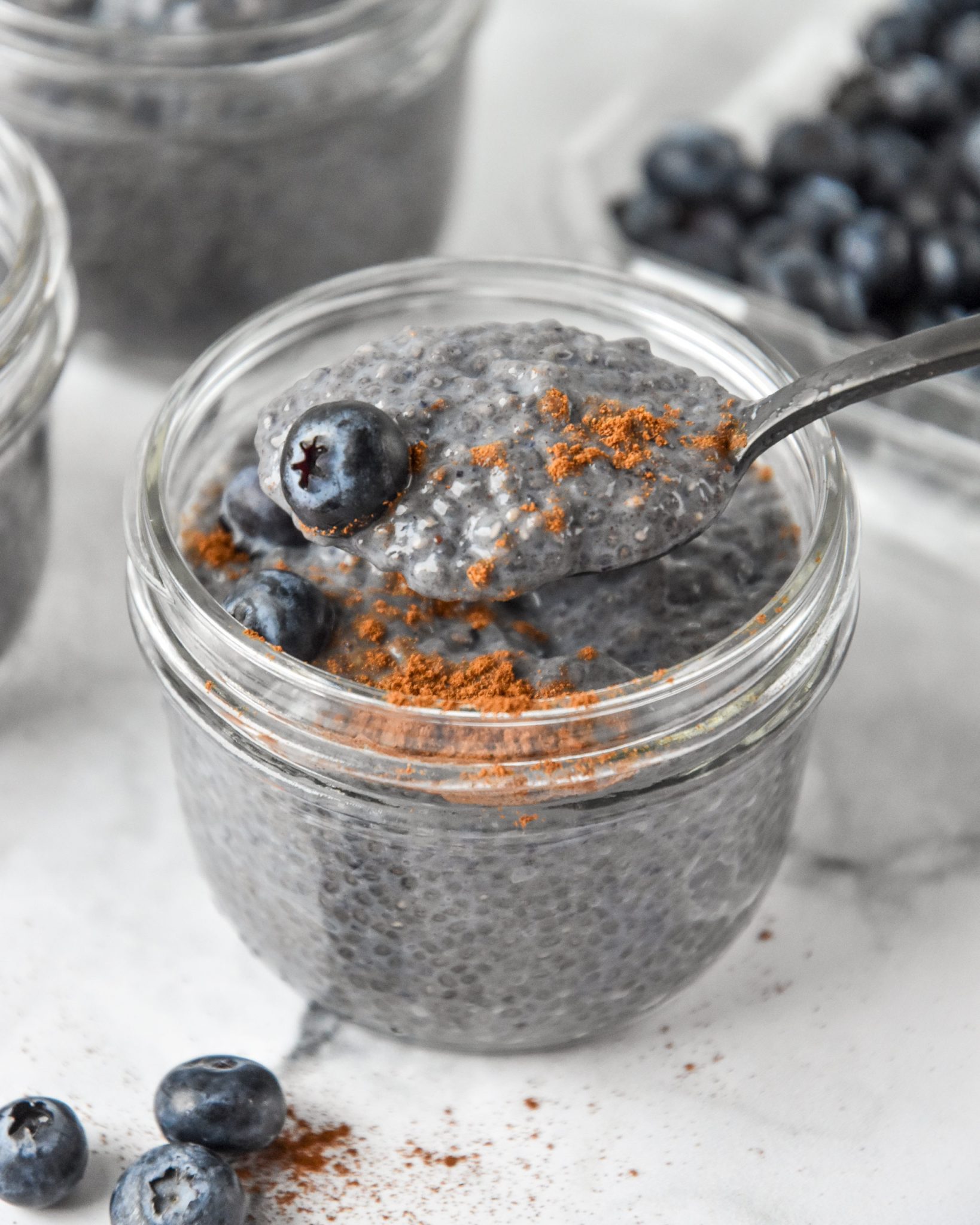 Blueberry Spice Chia Pudding