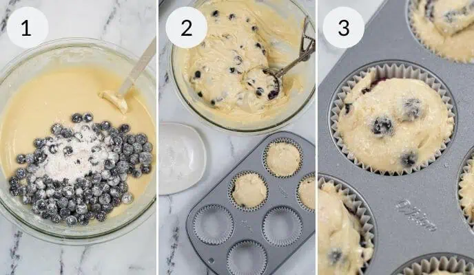 Blueberry Lemon Muffins