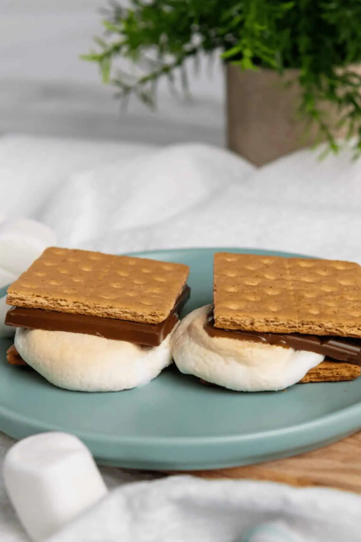 Air Fryer Smores