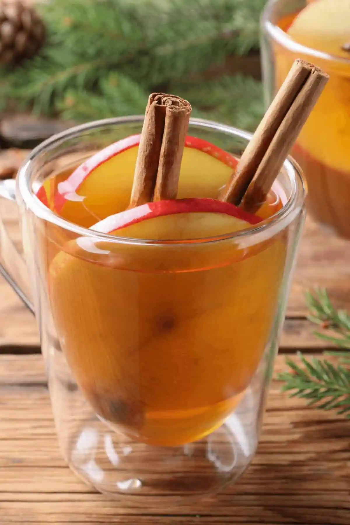 Slow Cooker Cider