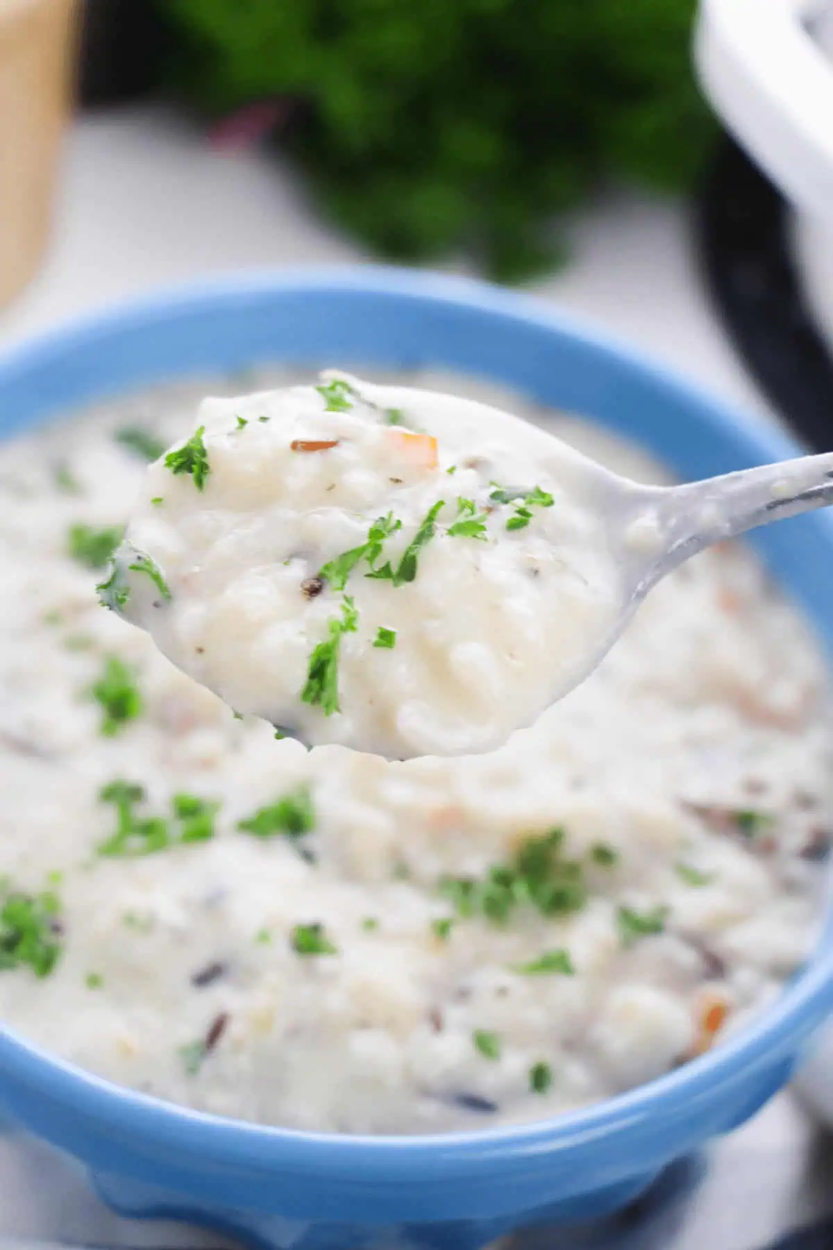 Creamy Chicken and Rice Soup