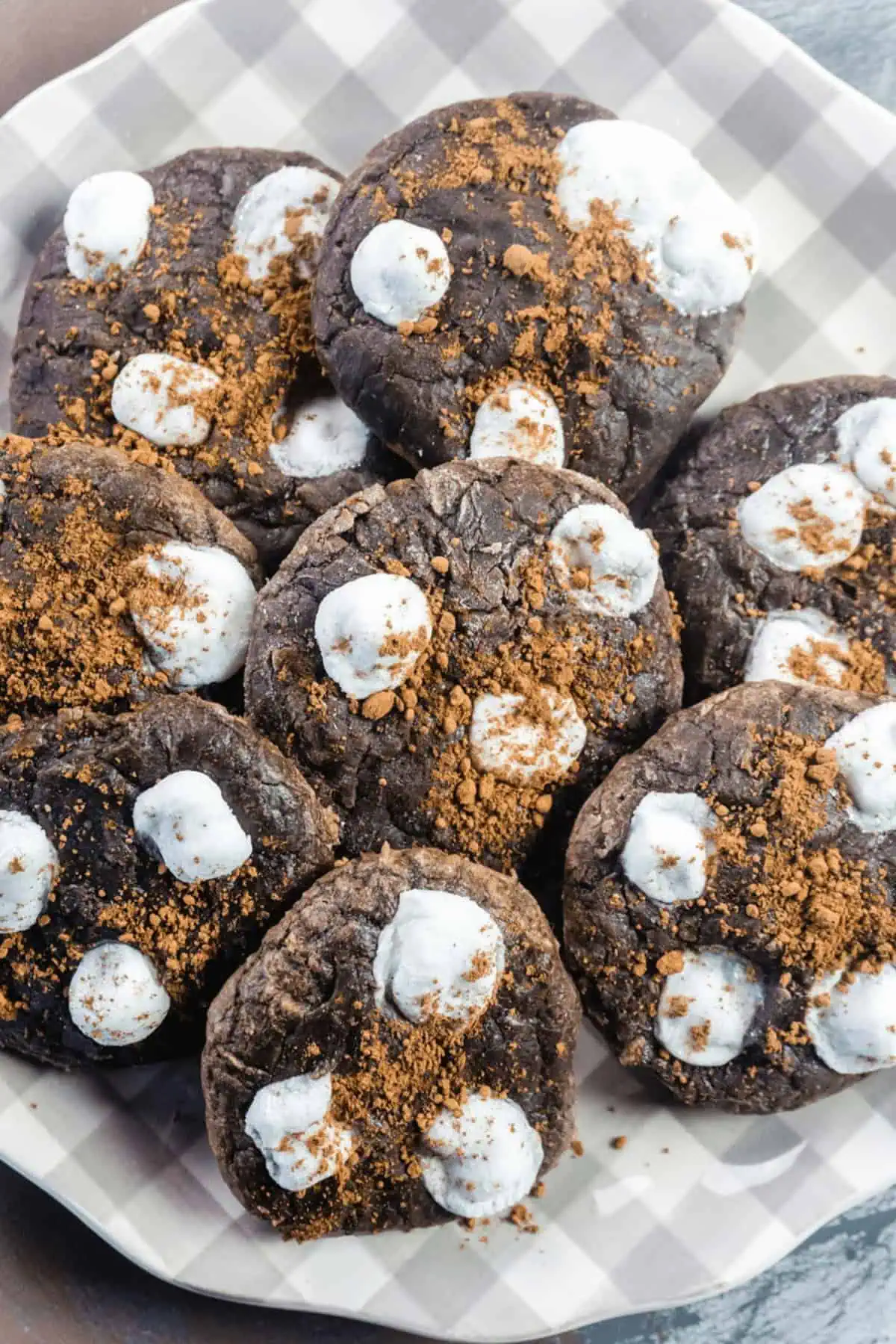 Hot Cocoa Cookies