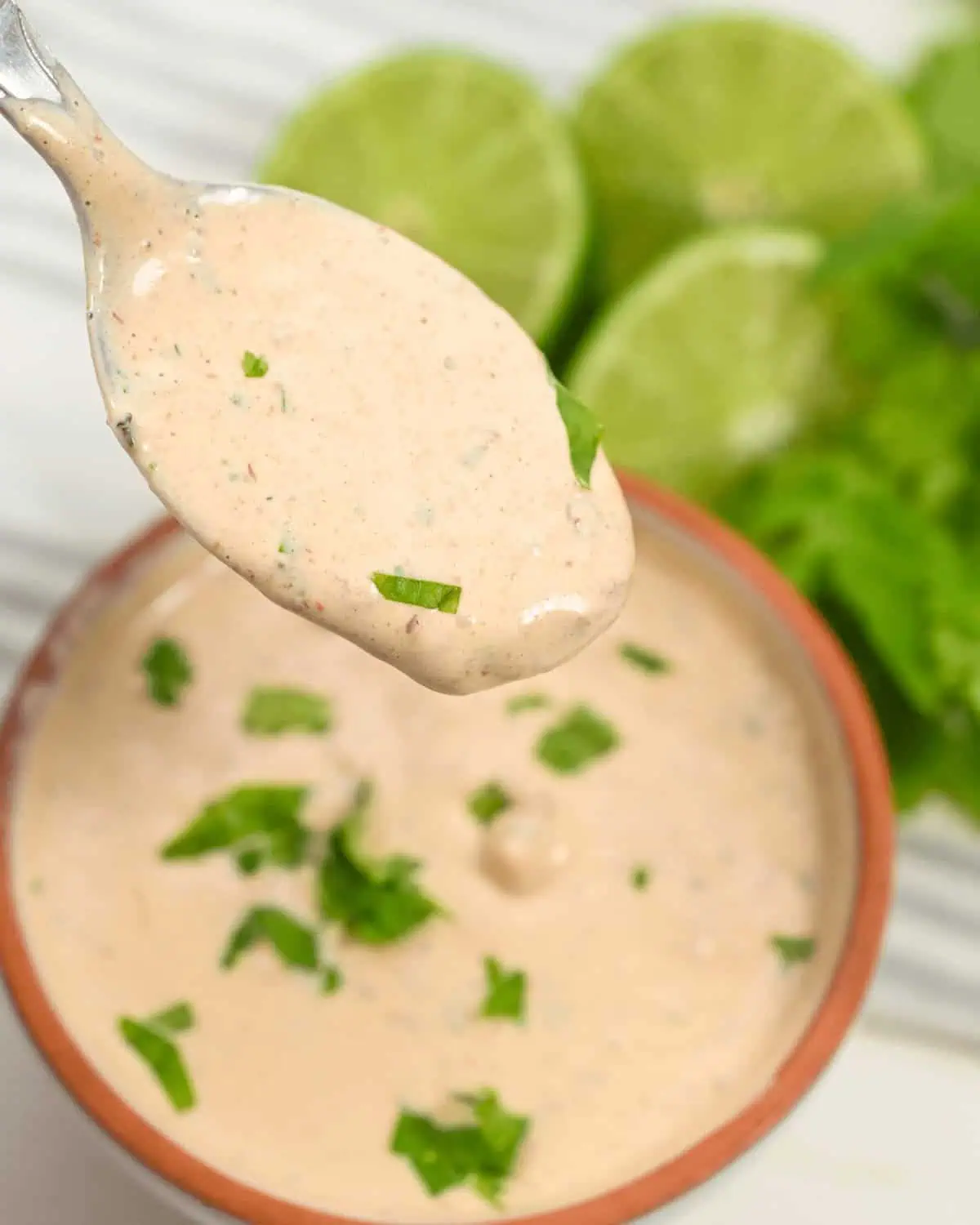 Baja Chipotle Sauce