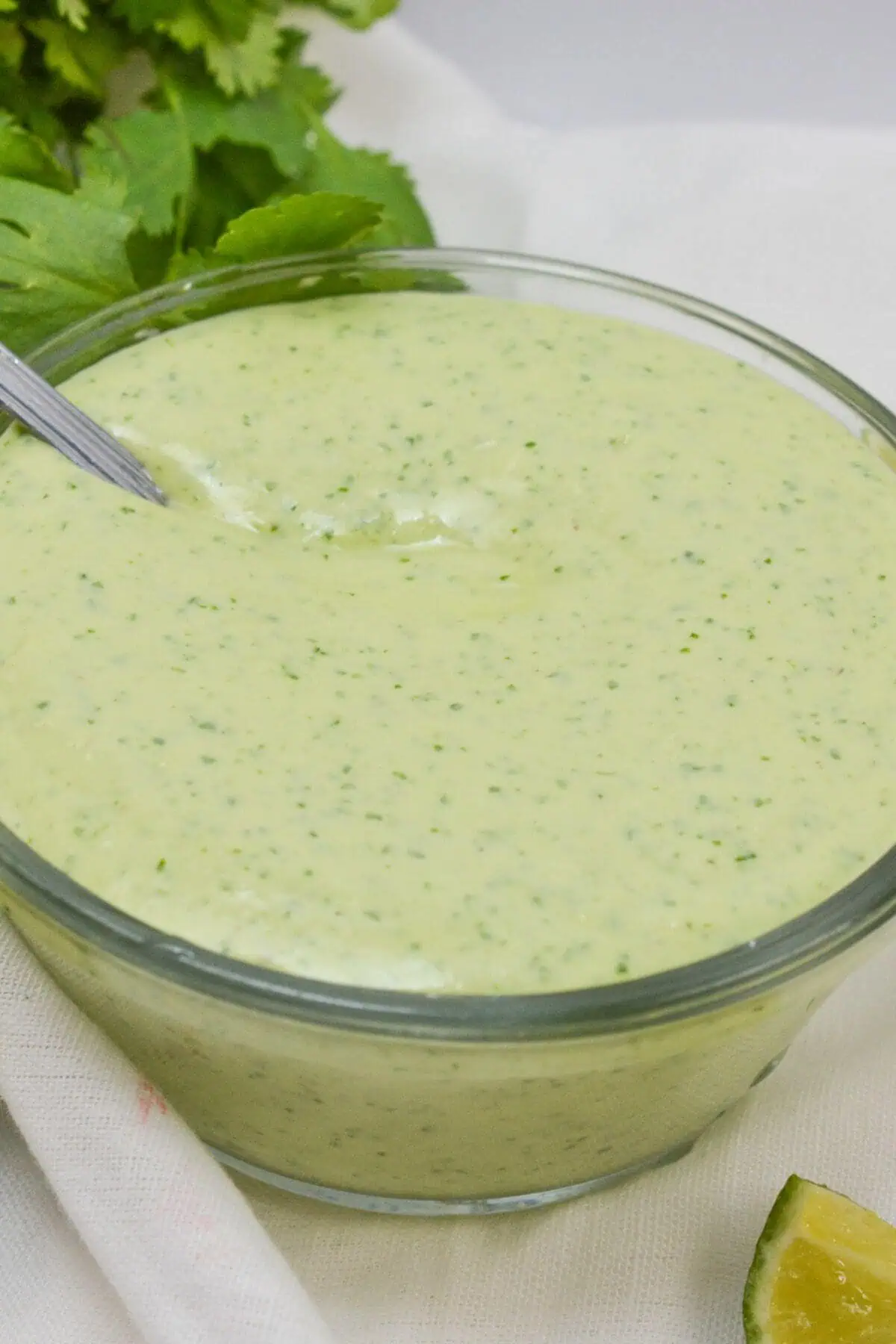 Cilantro Lime Sauce