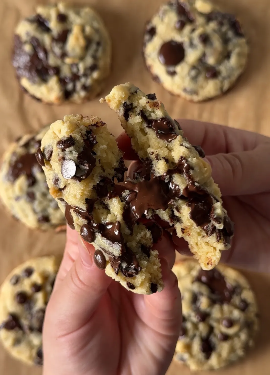 Bakery Style Chocolate Chip Cookies
