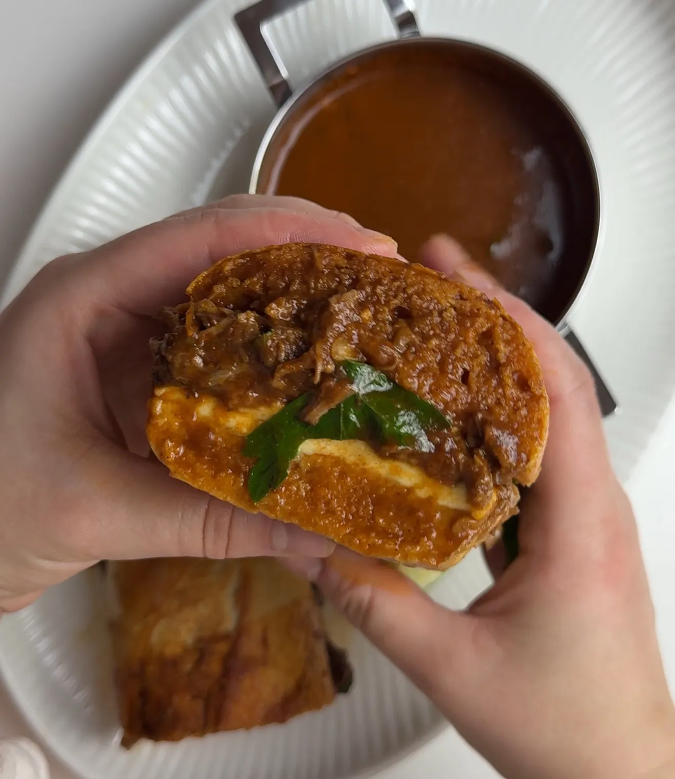 Slow-Cooked Birria Sandwich