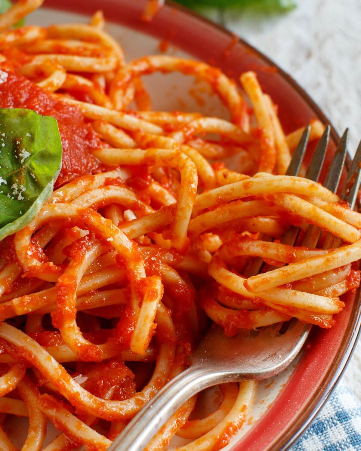 Hearty Marinara Sauce