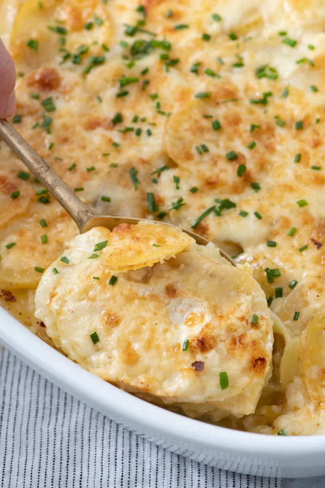 Golden Potato Gratin