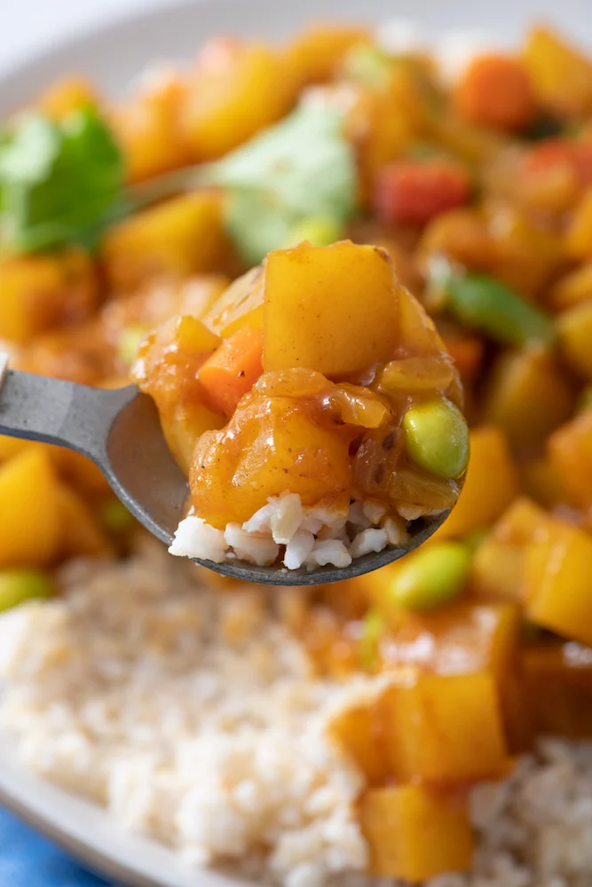 Japanese Vegetable Curry