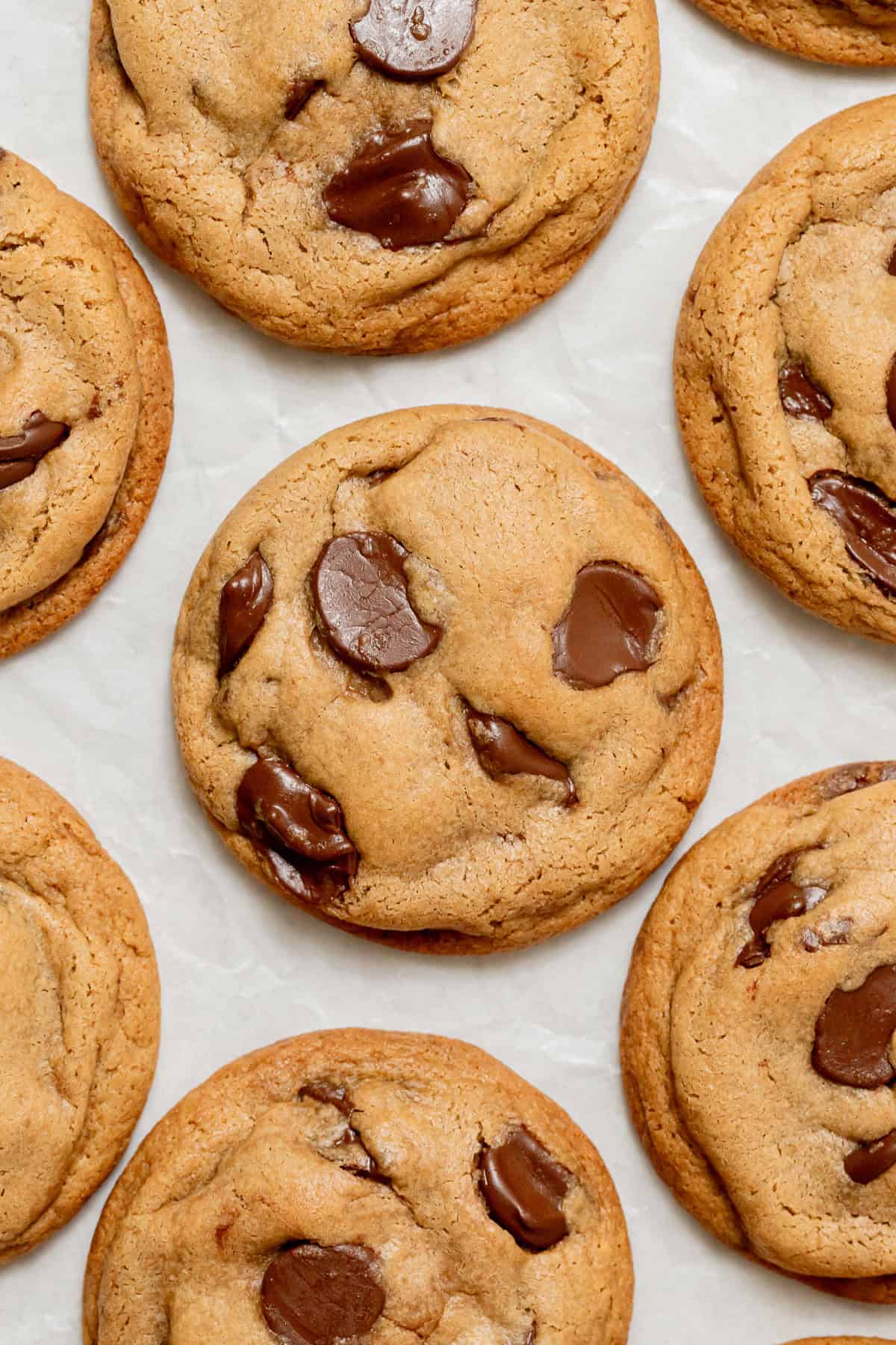 Bakery-Style Chocolate Chip Cookies