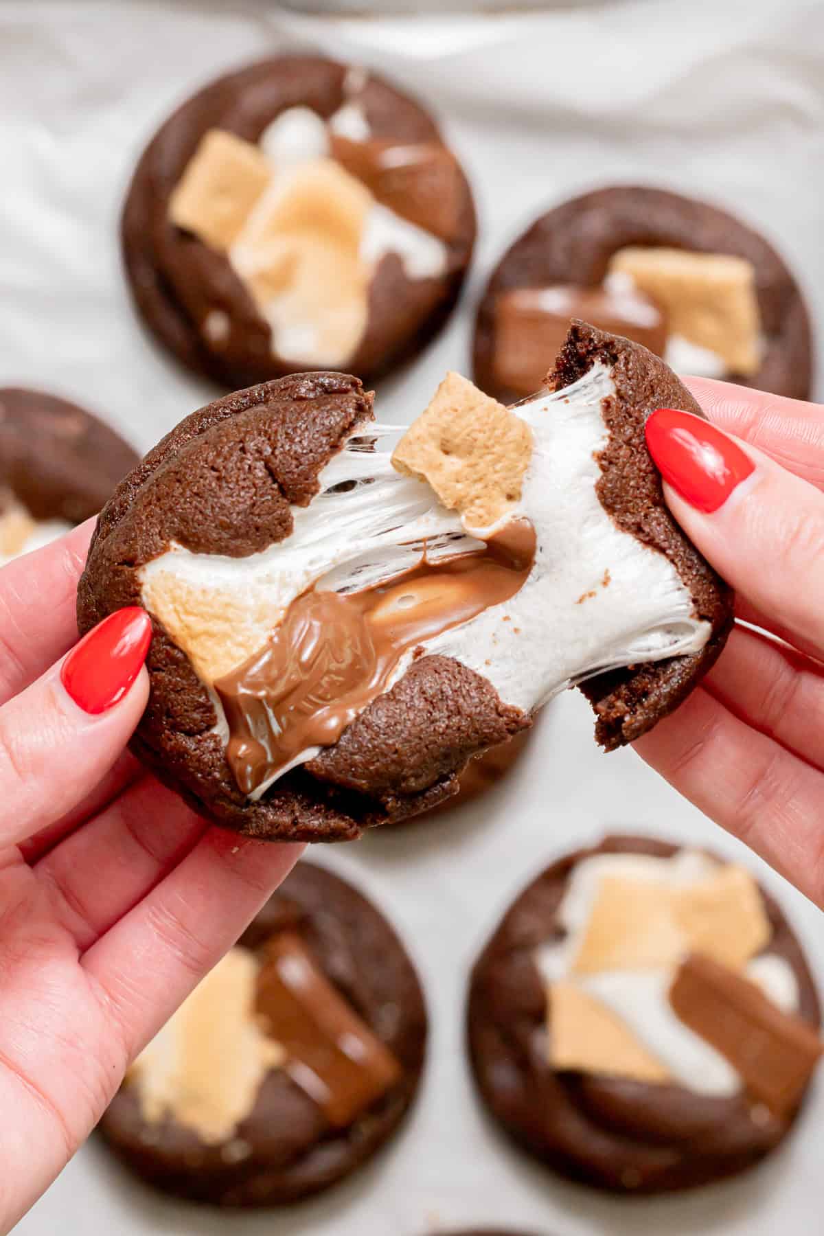 Double Chocolate S'mores Cookies