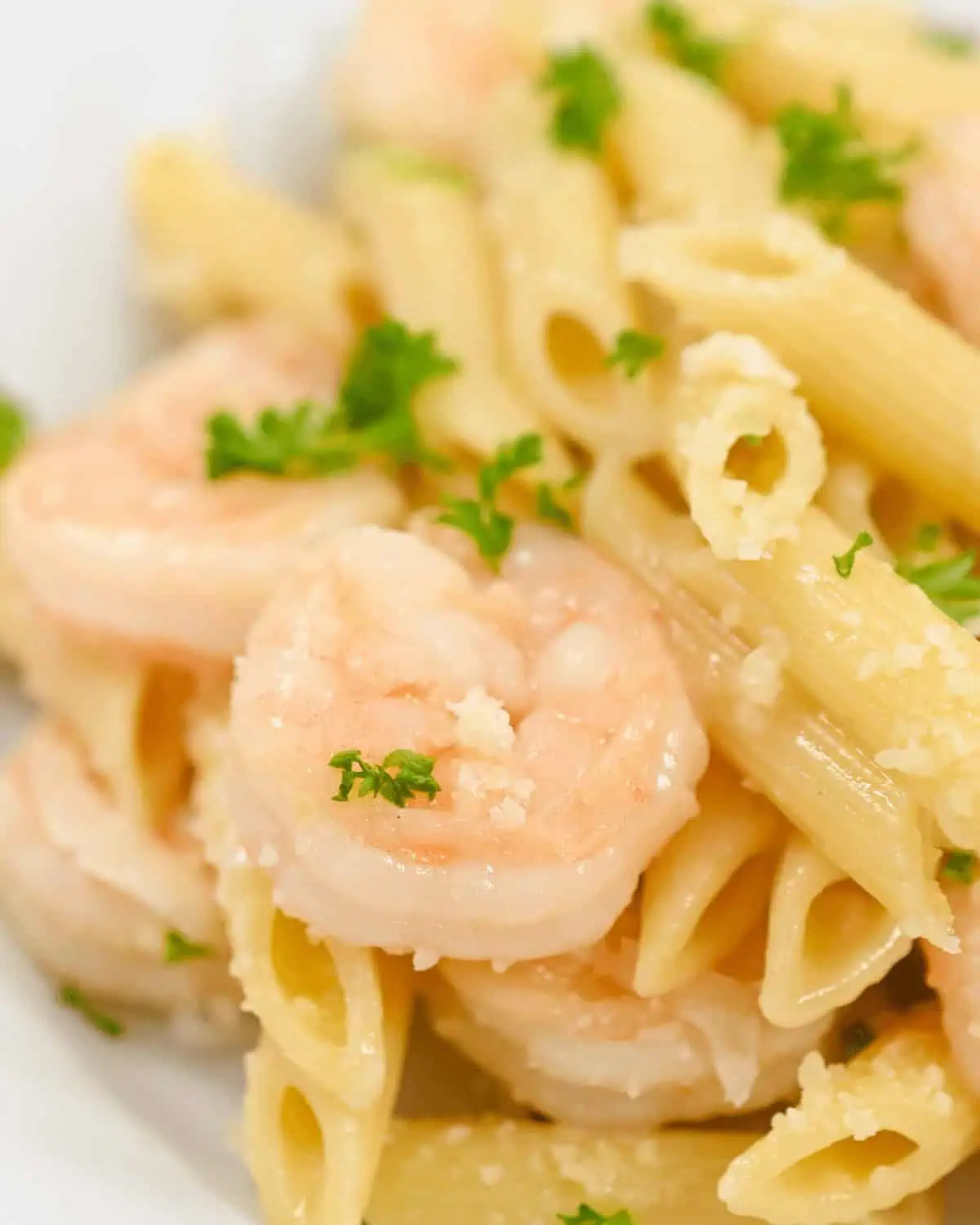 Parmesan Shrimp Pasta