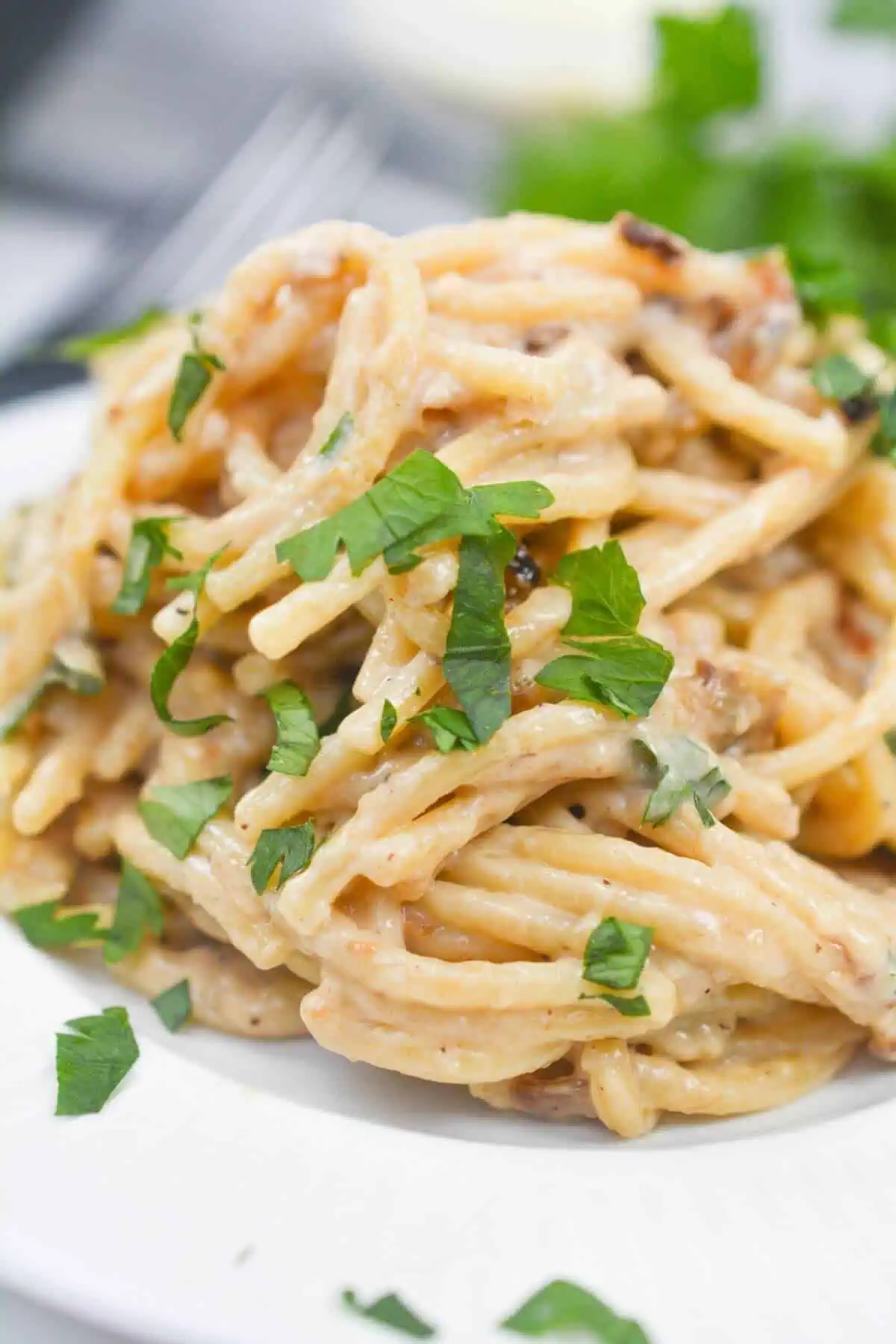 Caramelized Onion Pasta
