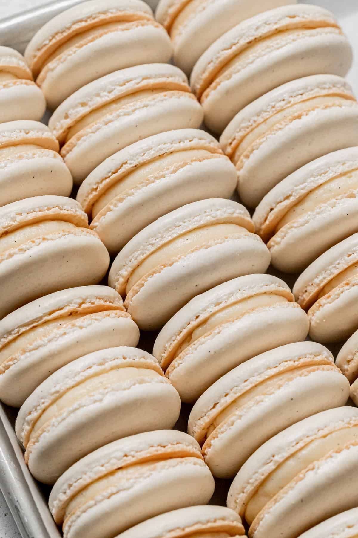 Vanilla Bean Macarons