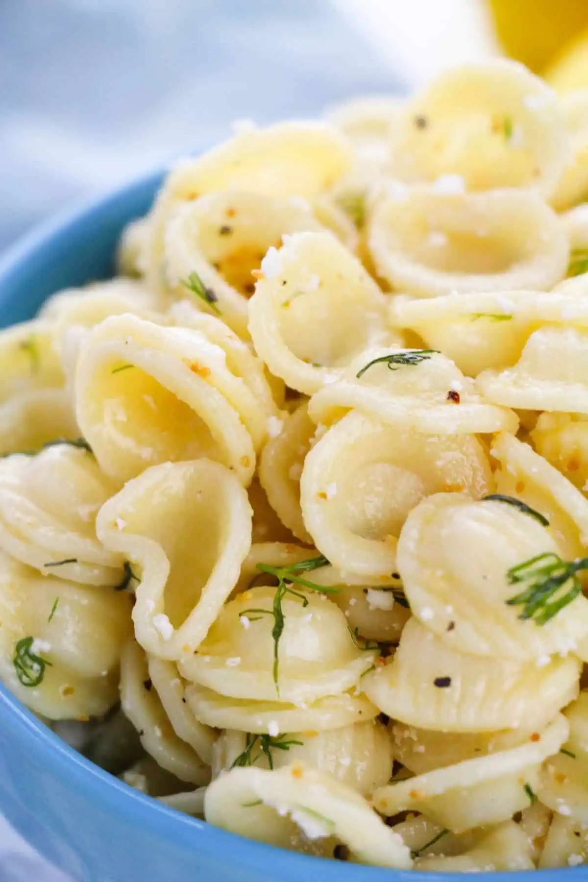 Dill Pasta Salad with Feta Cheese