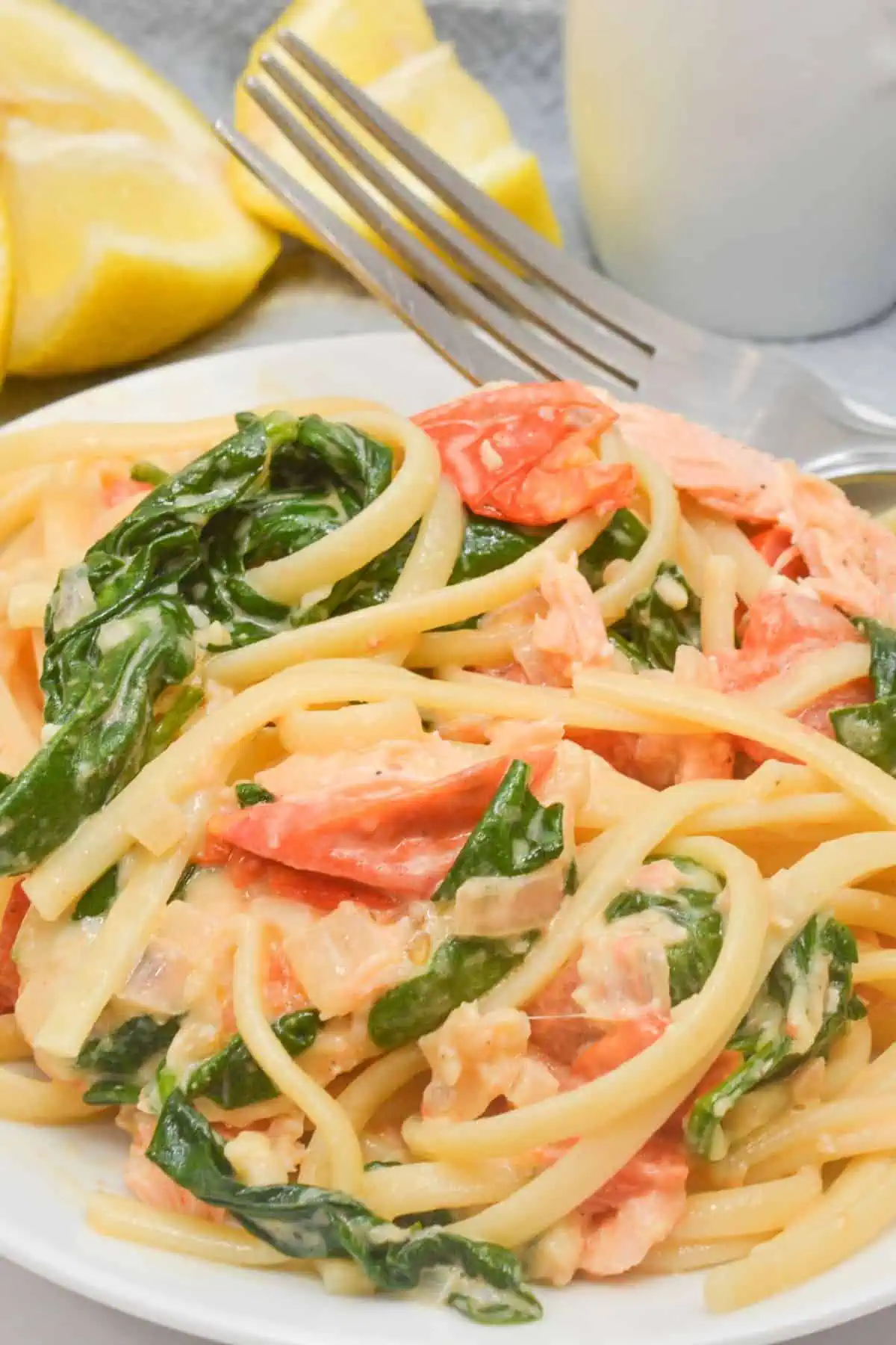 Salmon Pasta Recipe