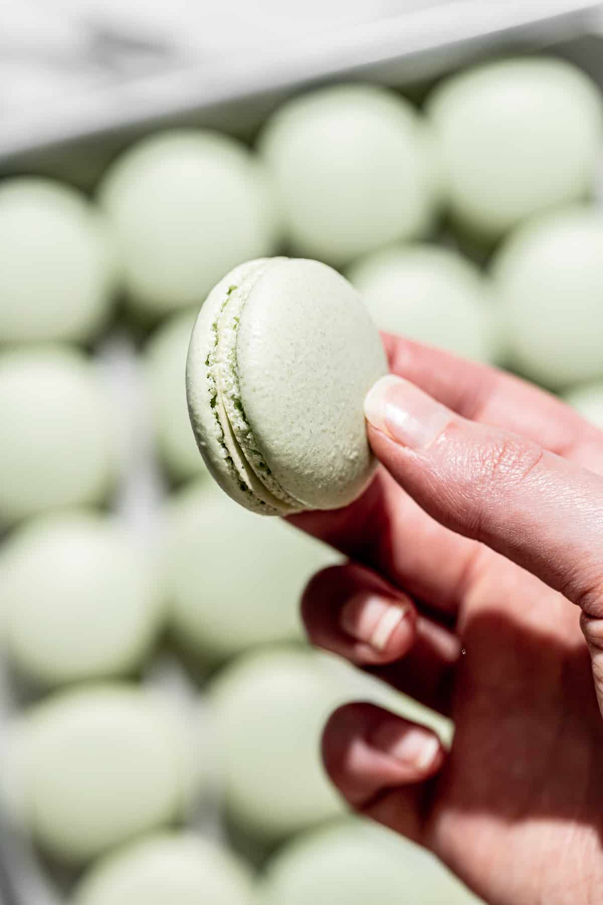 Pistachio Macarons