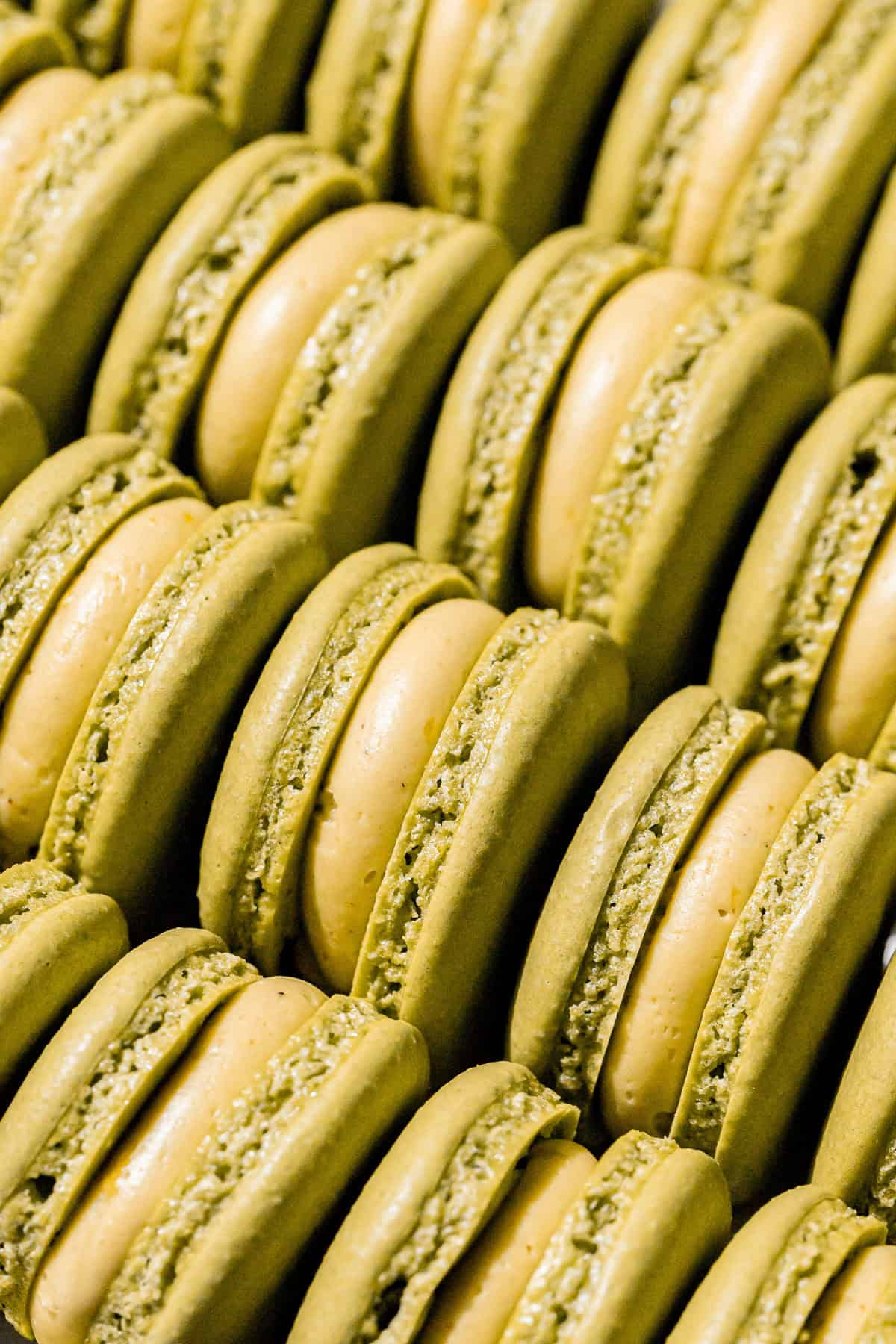 Pistachio Macarons