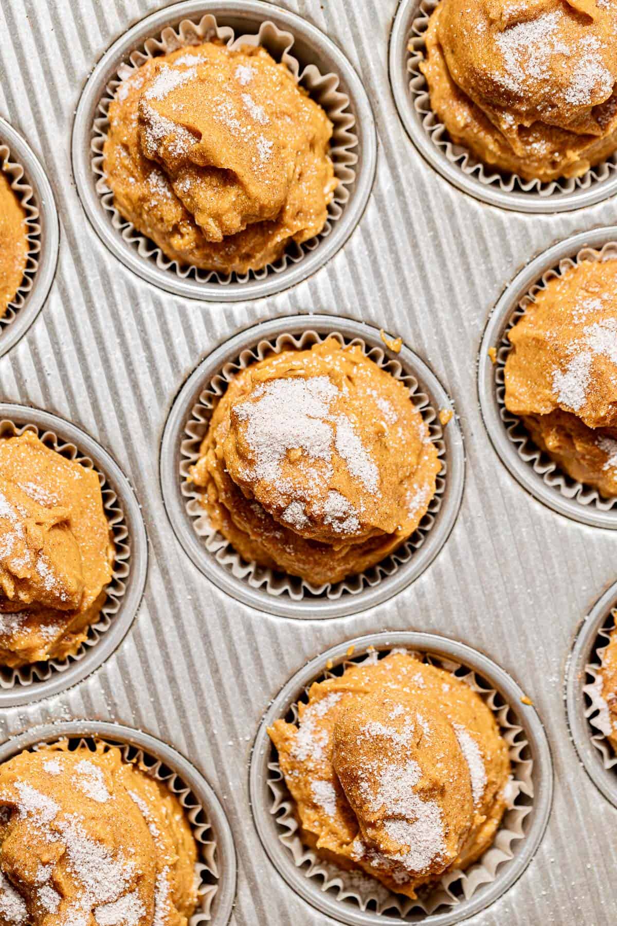 Gluten-Free Pumpkin Oatmeal Muffins
