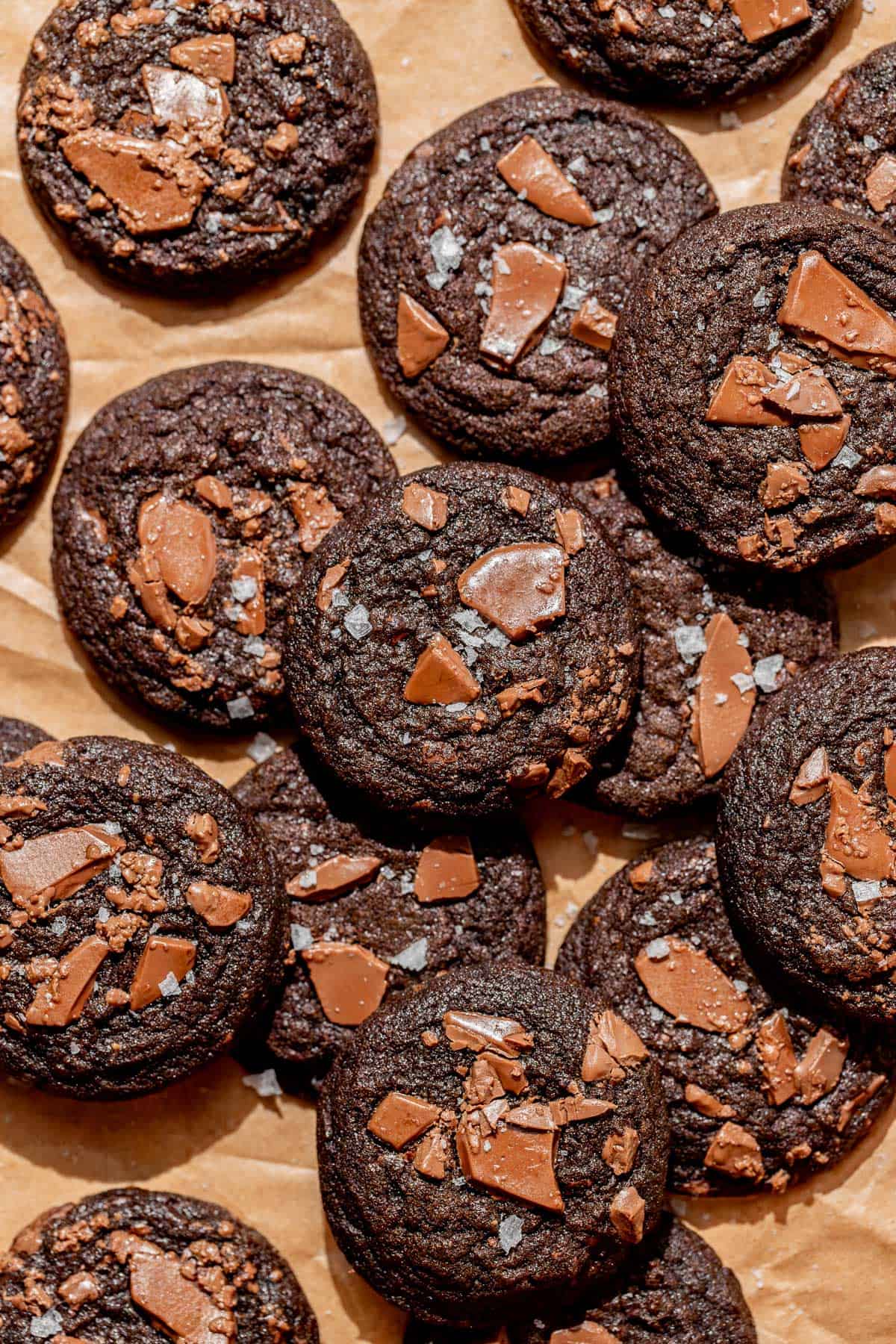 Soft Double Chocolate Chip Cookies