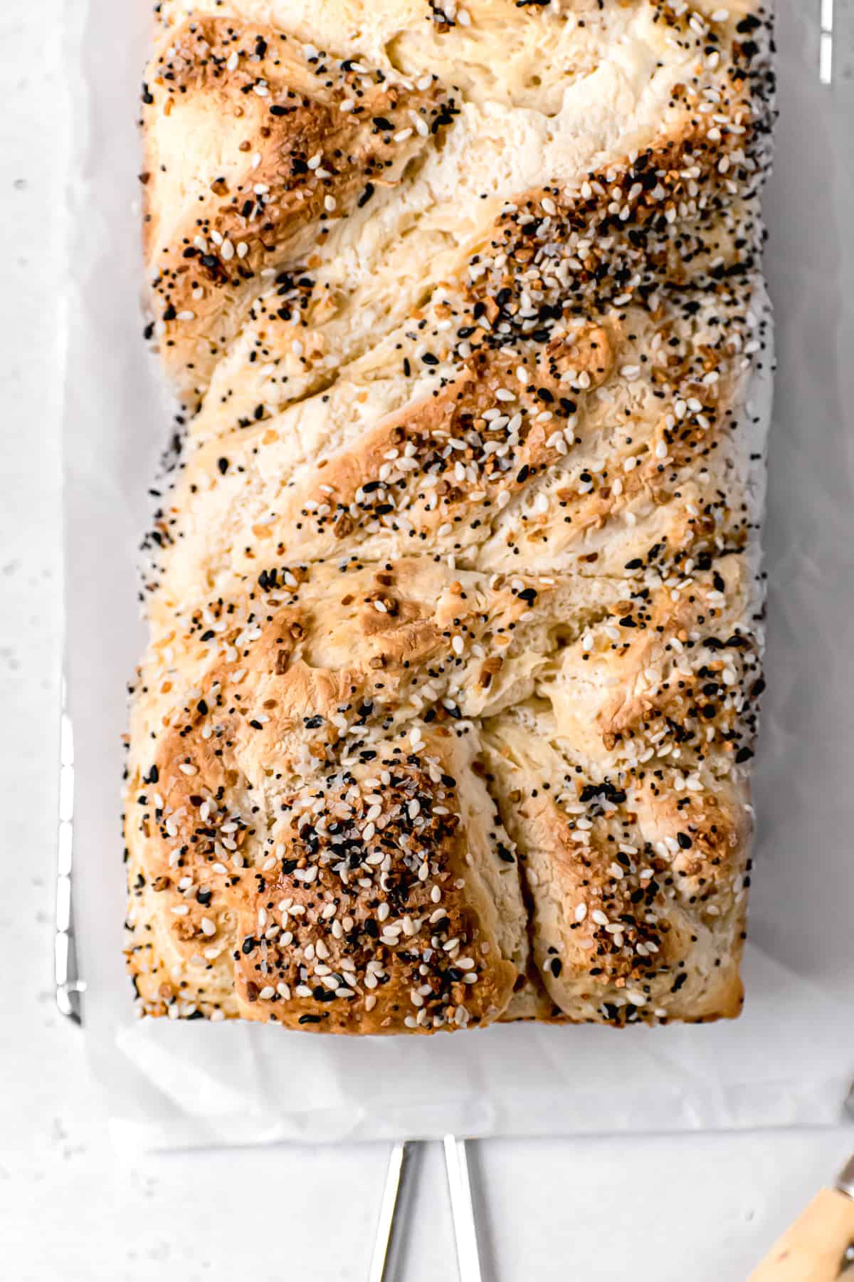 Everything Bagel Babka