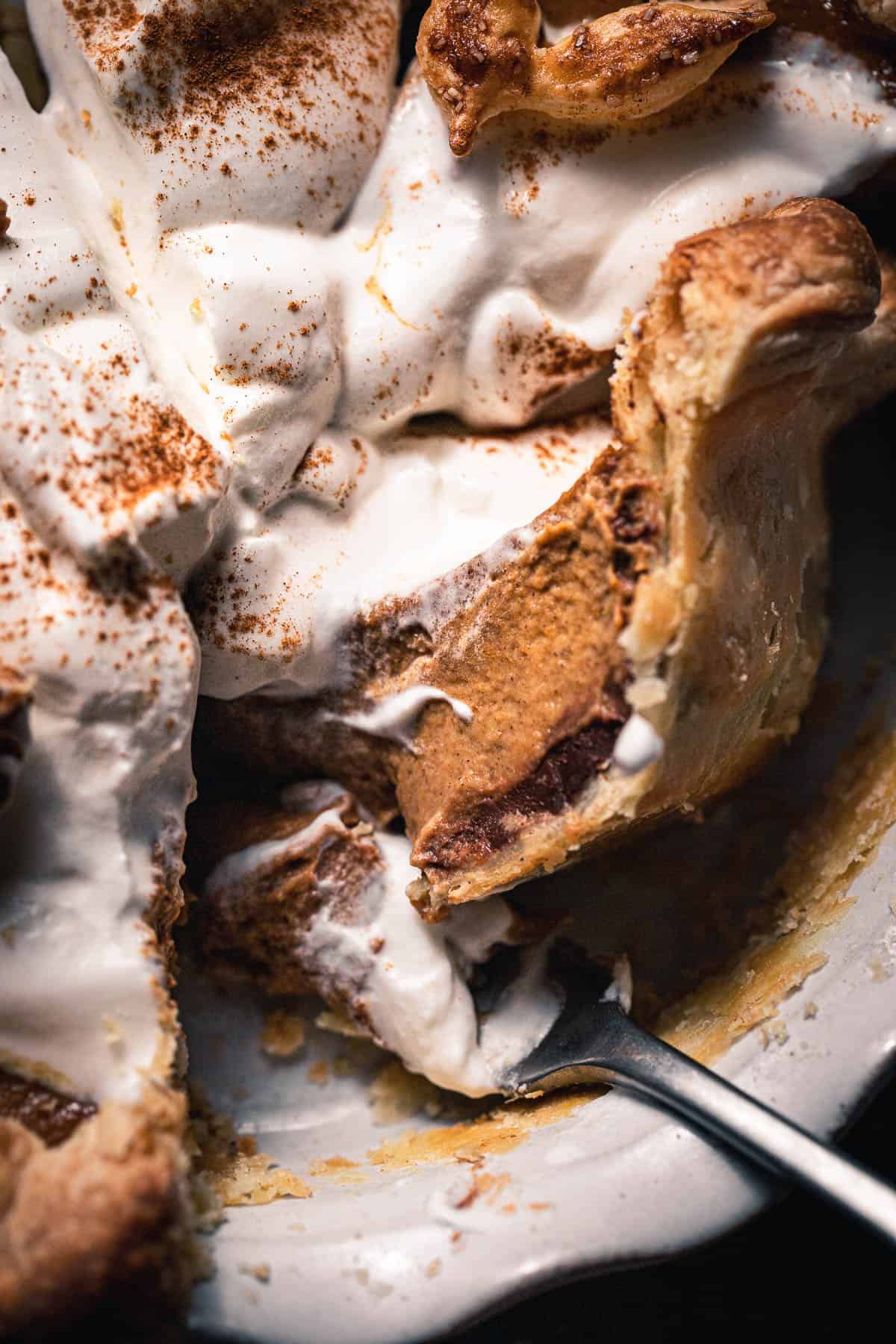 Black Bottom Pumpkin Custard Pie