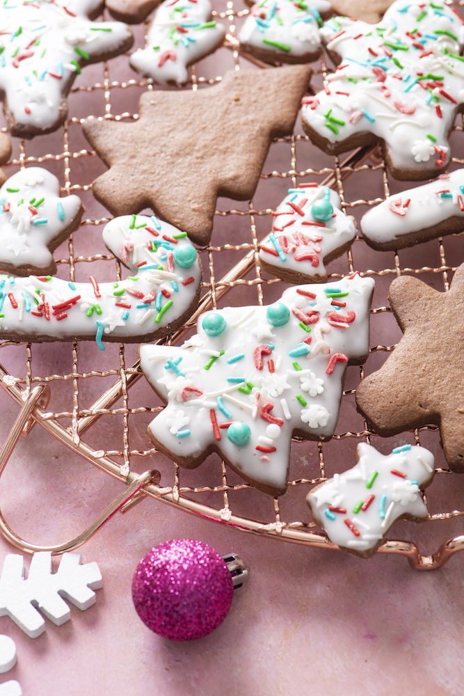 Chocolate Orange Snaps