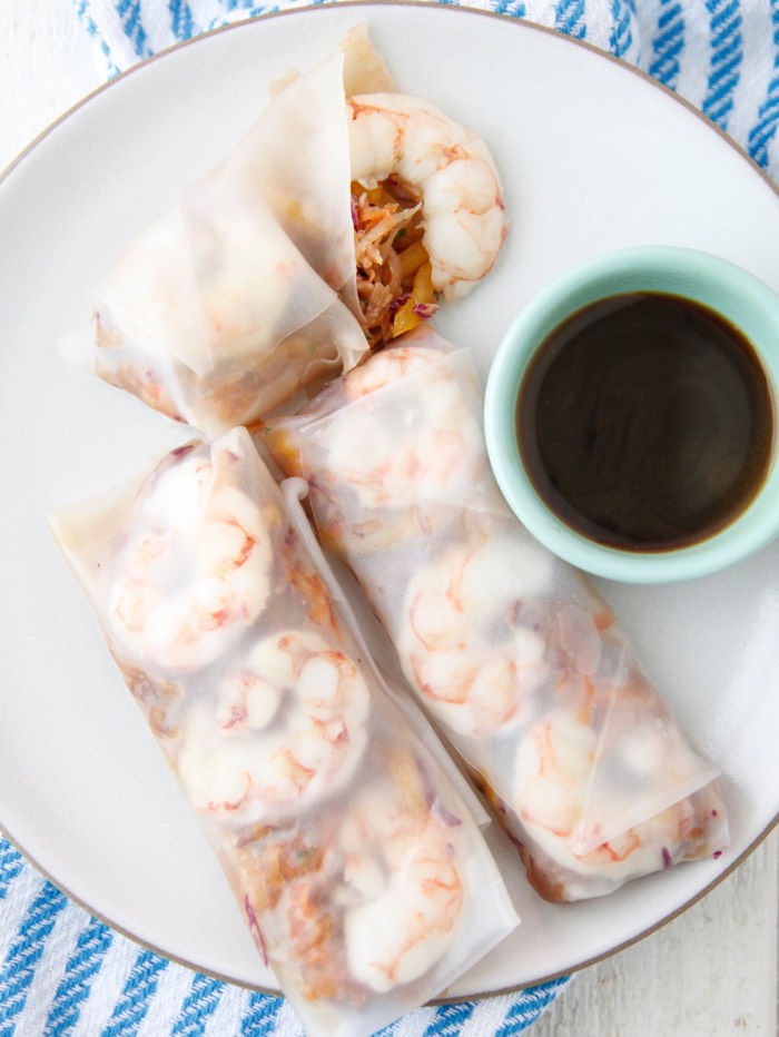 Asian Slaw Spring Rolls