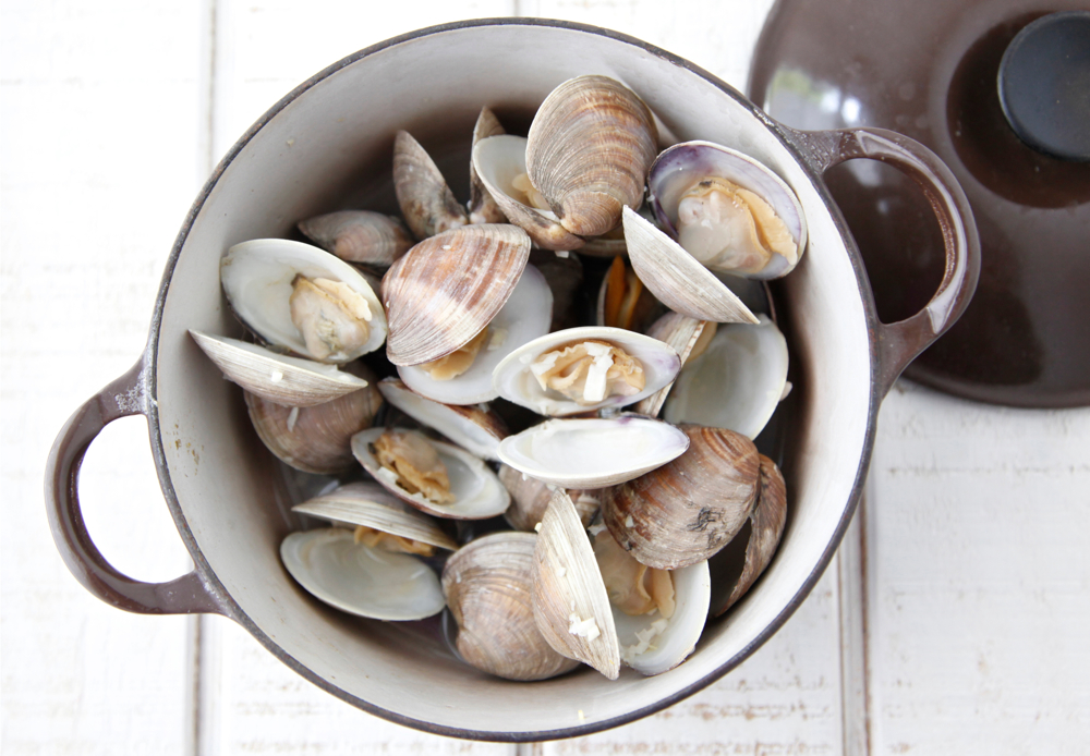 Clams with White Wine Sauce