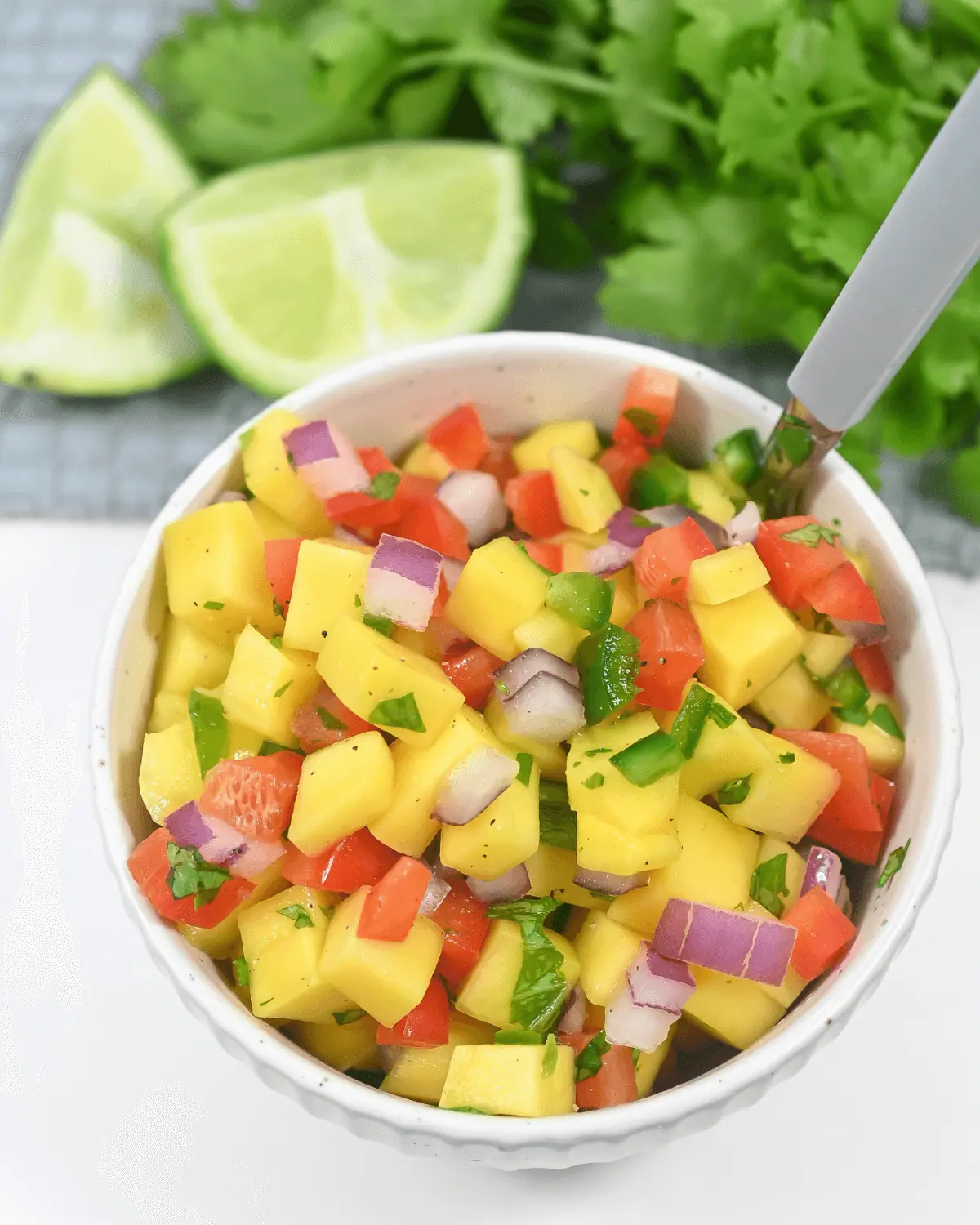Mango Habanero Salsa