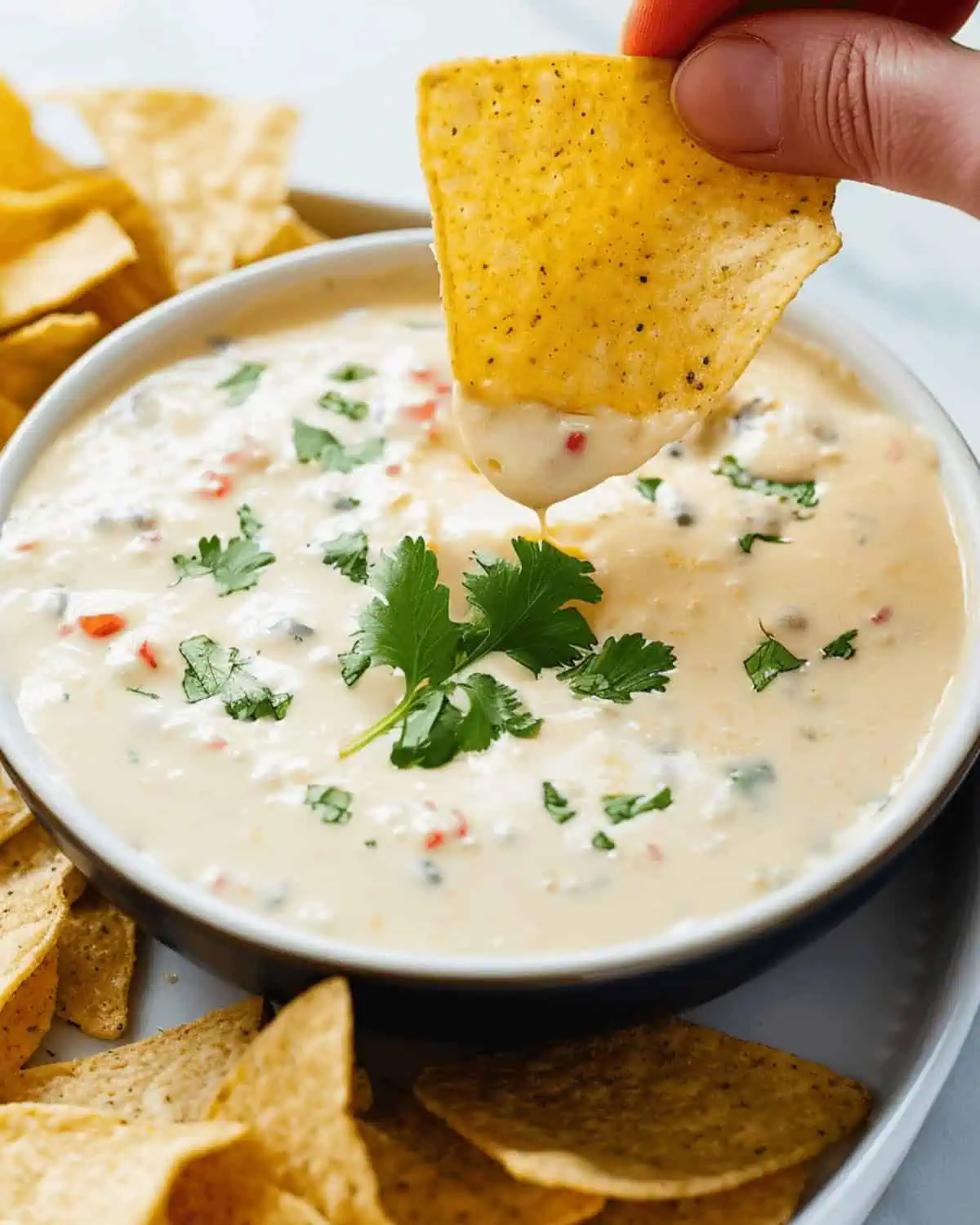 White Queso Dip
