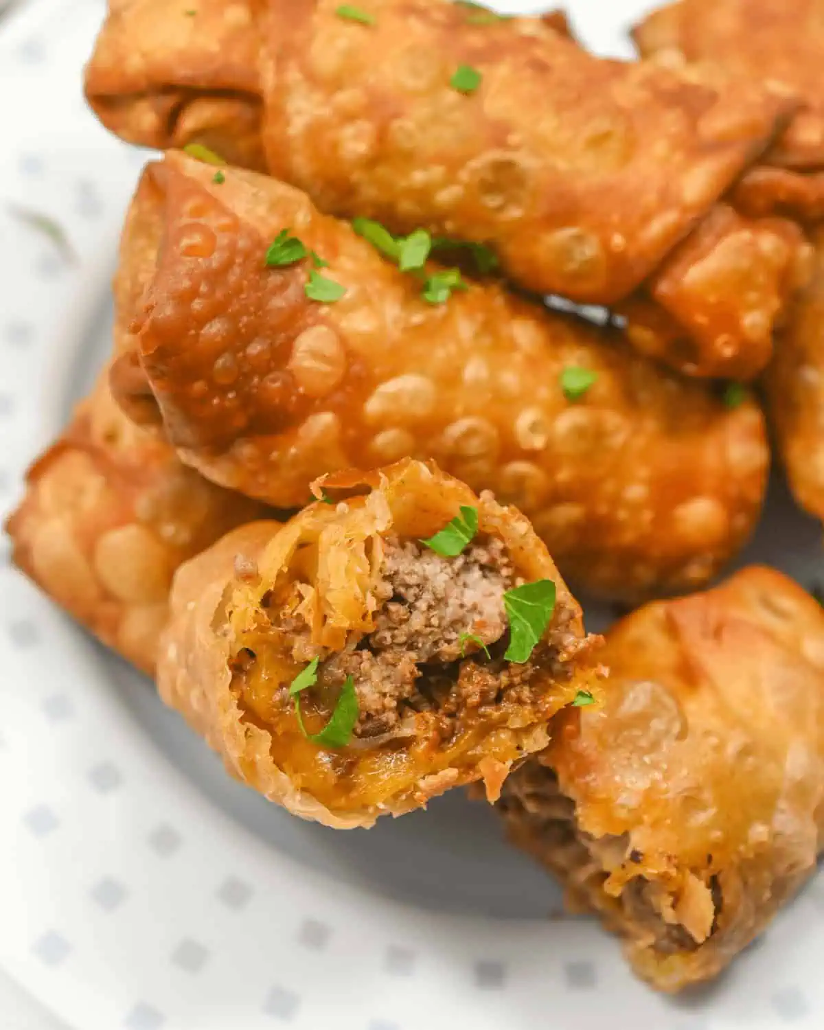 Taco Egg Rolls