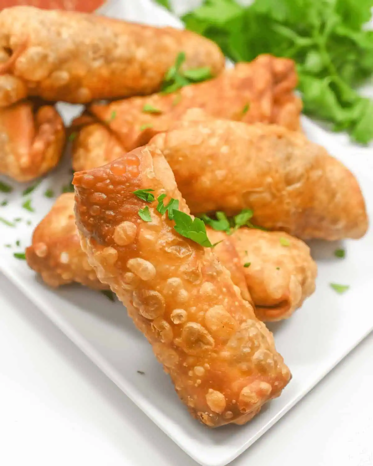 Taco Egg Rolls