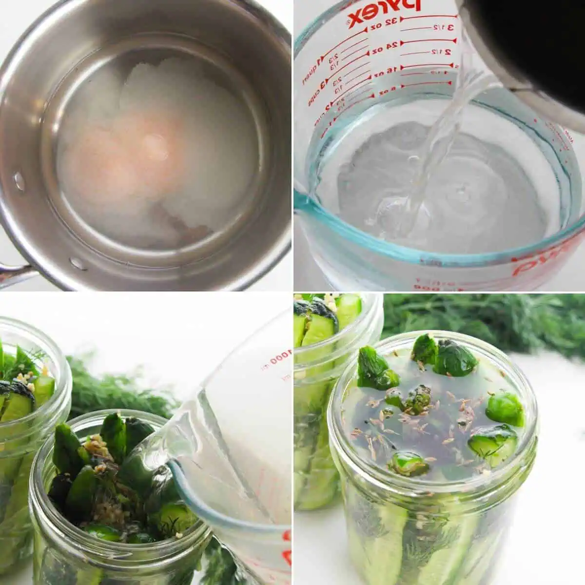 Refrigerator Garlic Dill Pickles