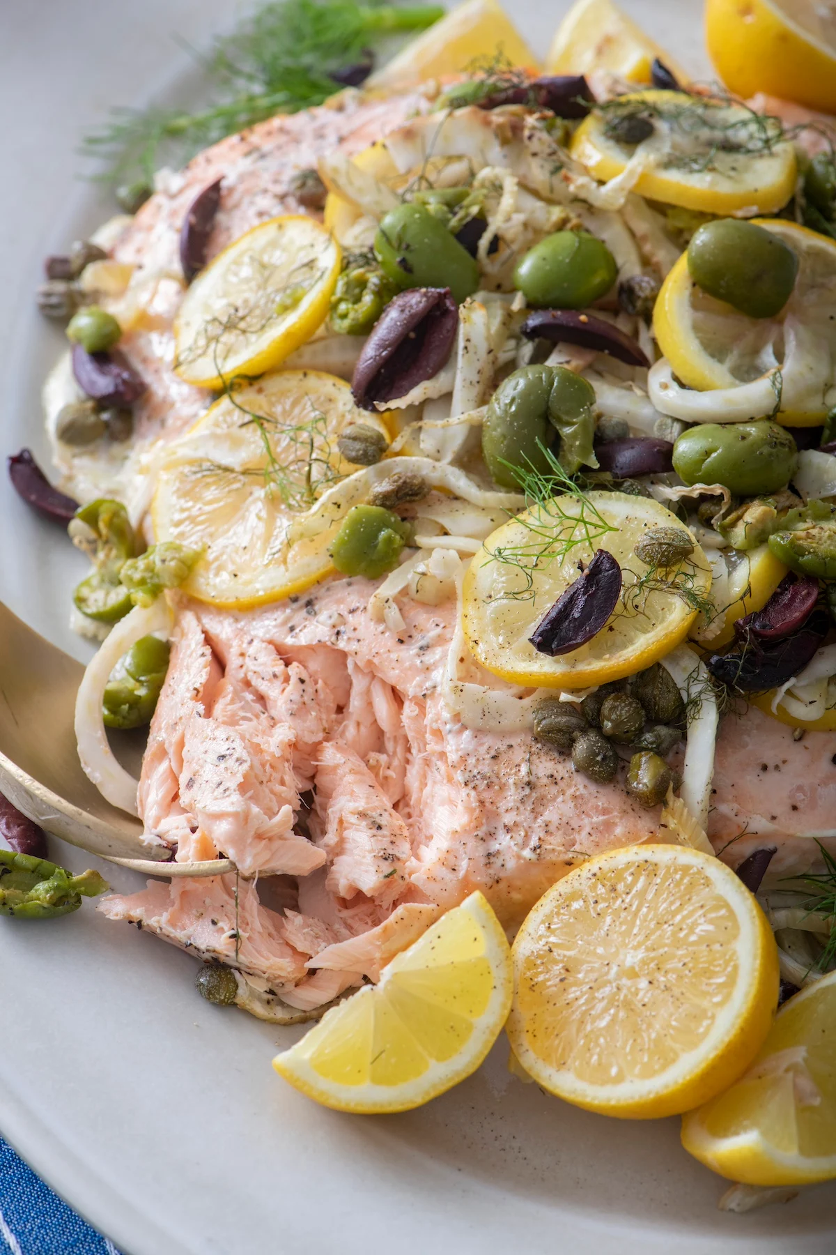 Salmon with Fennel, Citrus and Olives