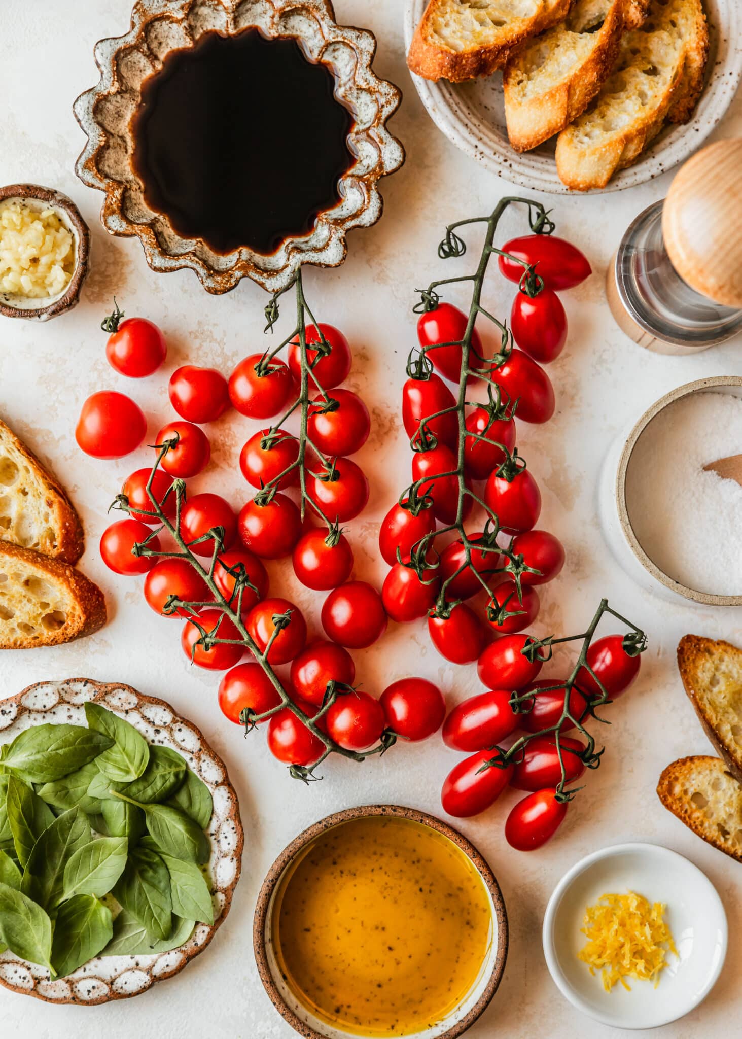 Gorgeous Tomato Bruschetta on Garlicky Crostini