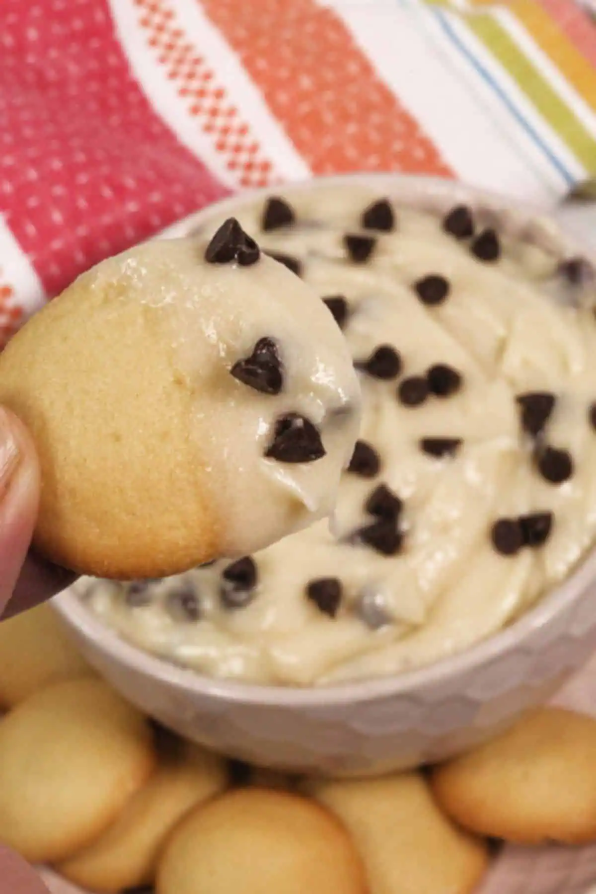 5 Minute Chocolate Chip Dip