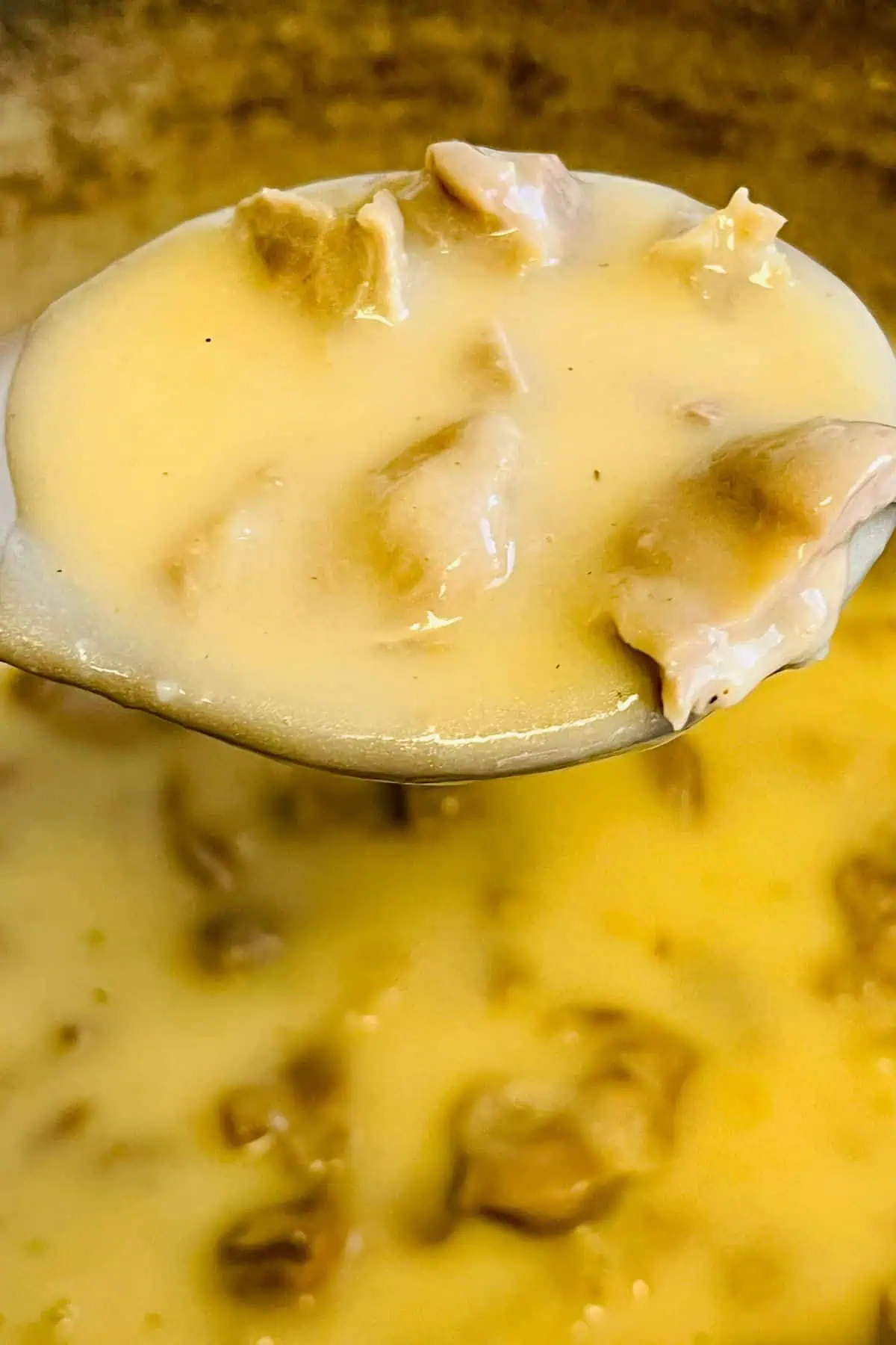 Giblet and Turkey Neck Gravy