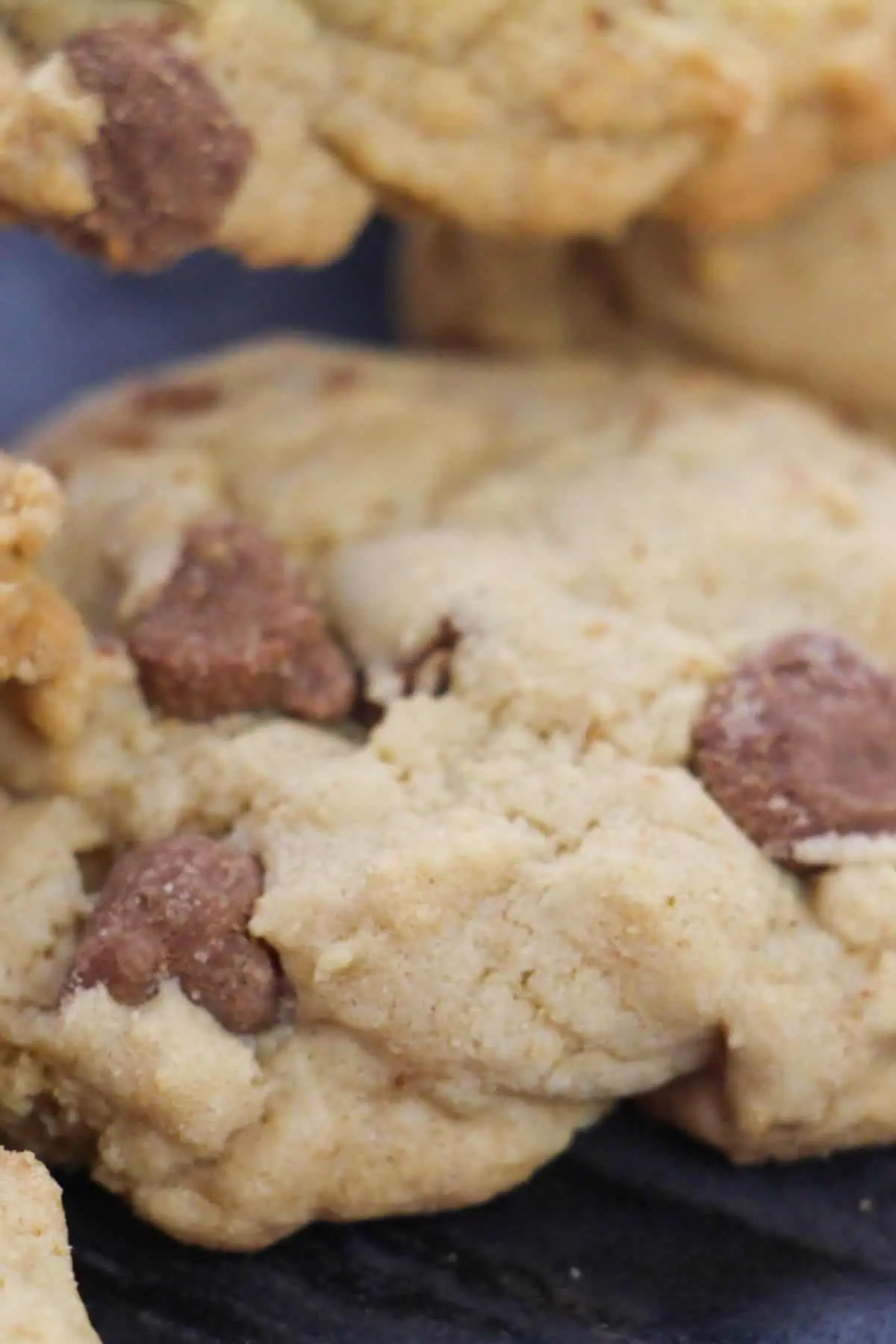 Soft Chocolate Chip Cookies