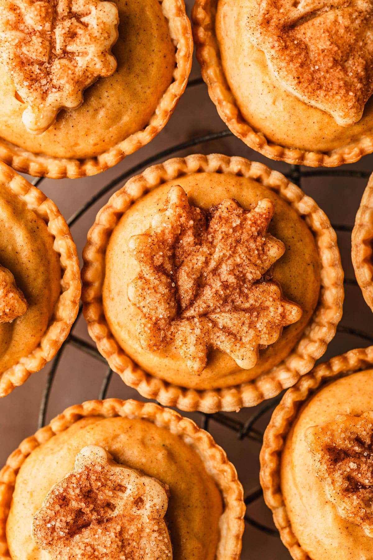 Mini Cream Cheese Pumpkin Pies