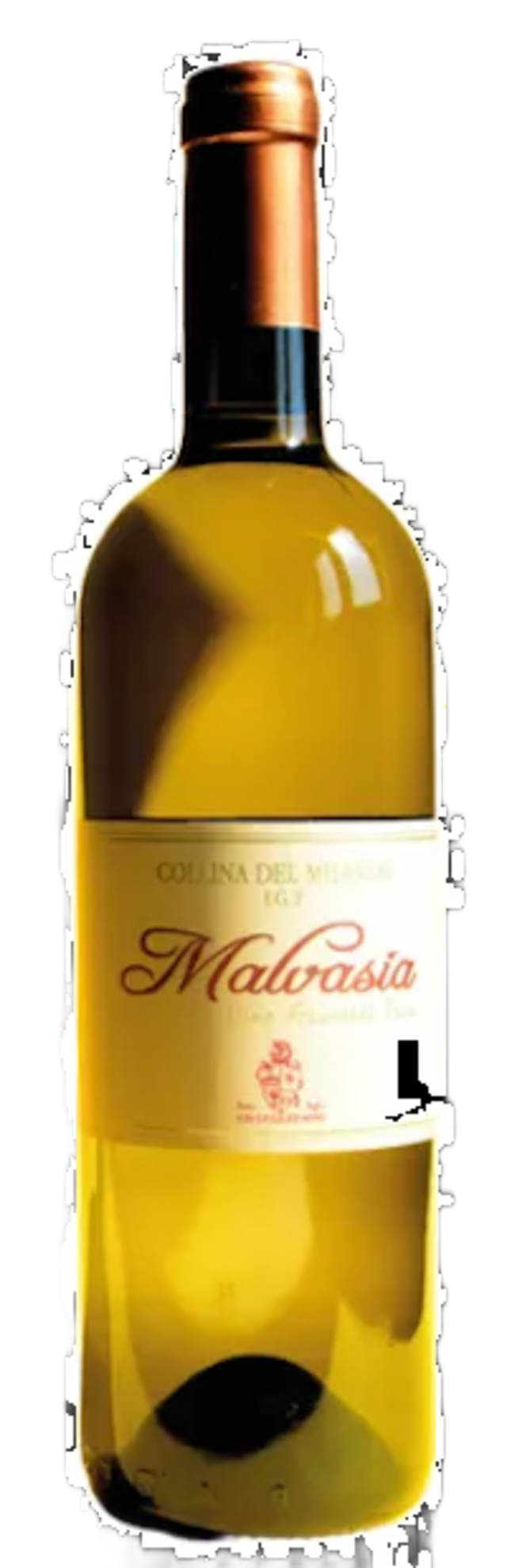 Malvasia - Guglielmini