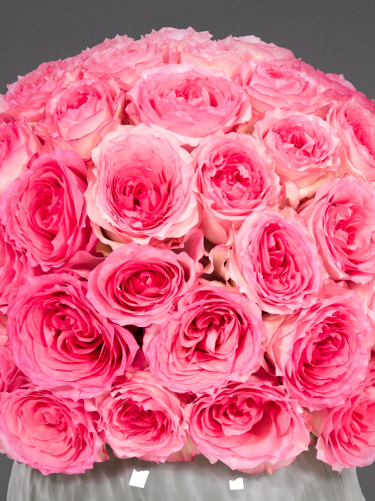 Roses for Delivery