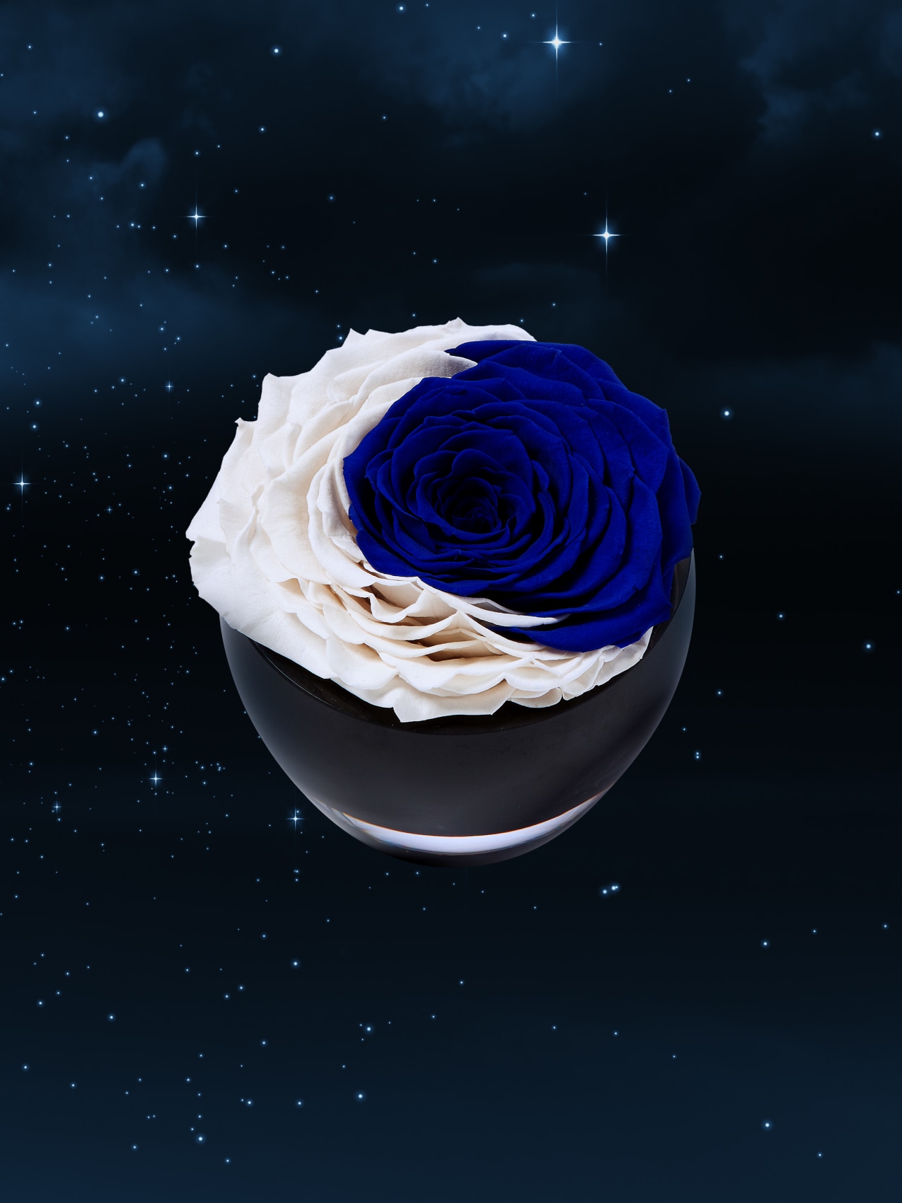 The Crescent Moon Collection