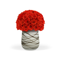 Infinite Roses - Delivered in Los Angeles - OnlyRoses