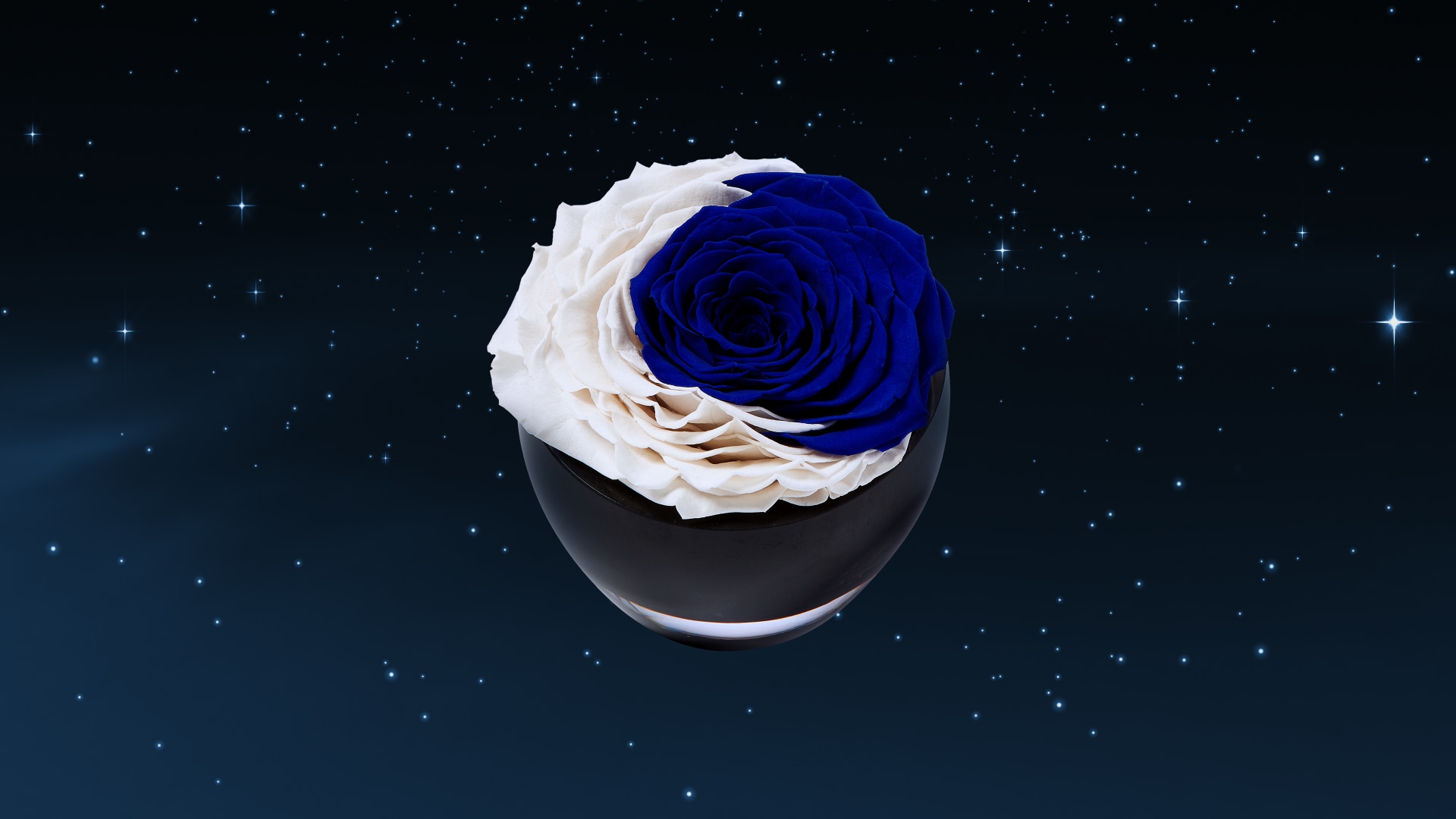 The Crescent Moon Collection