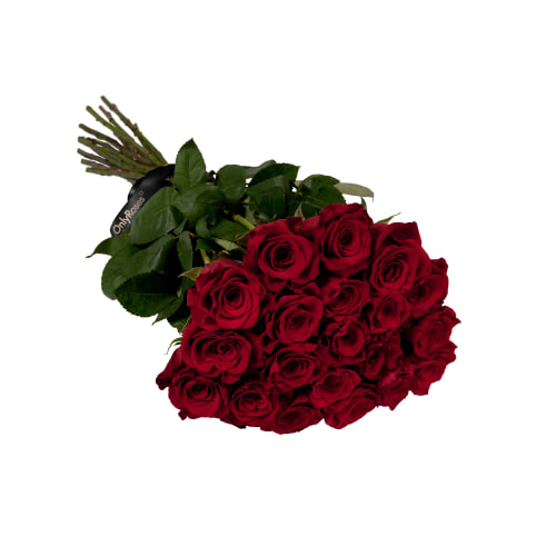 valentine s roses collection 2019 dubai delivery onlyroses